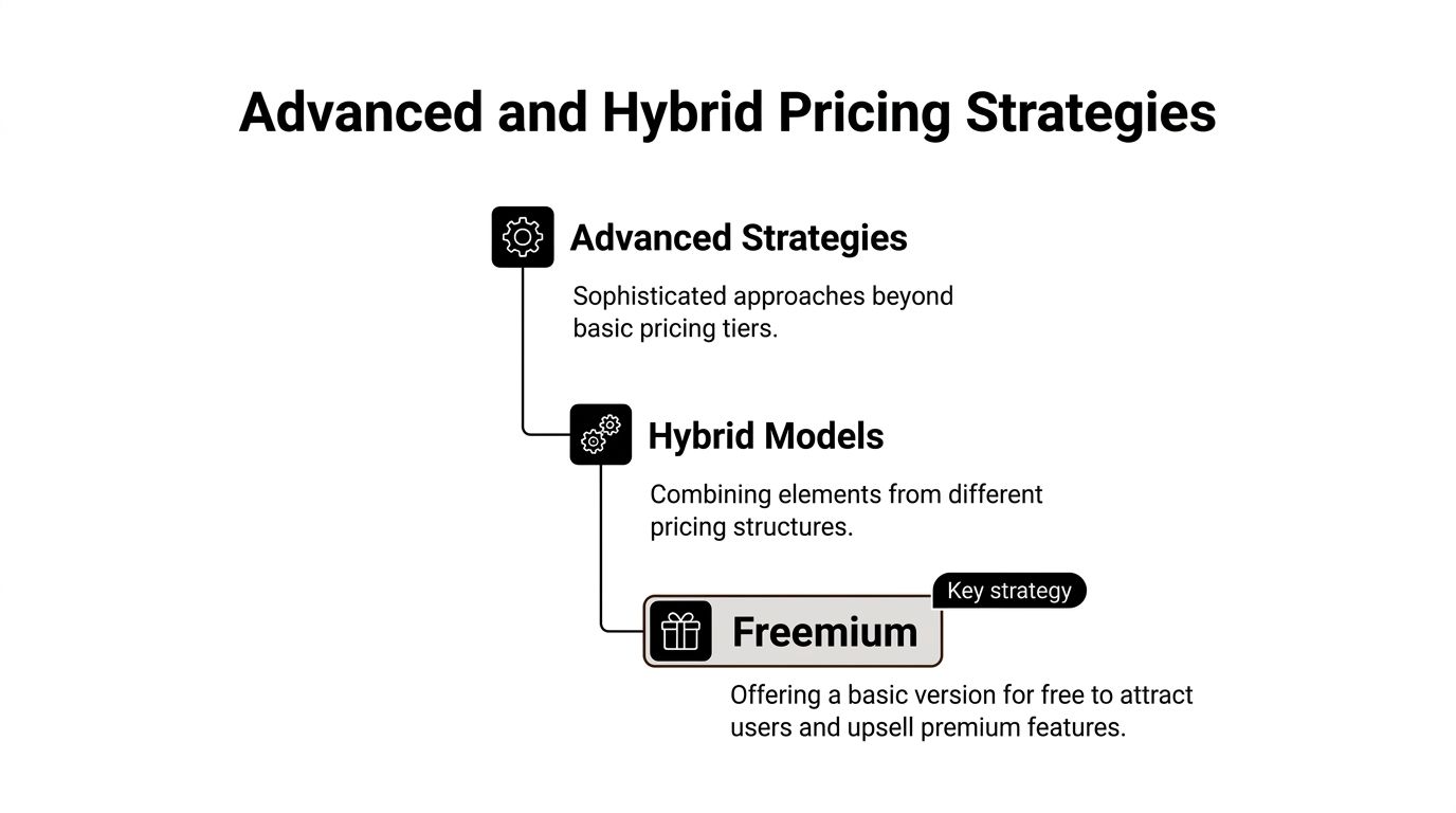 A diagram illustrating advanced and hybrid subscription pricing strategies including the freemium model.