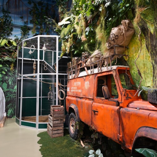 你剛剛來到一個郁郁蔥蔥的熱帶植物園：探索可可的栽種，感受真正的墨西哥氛圍！