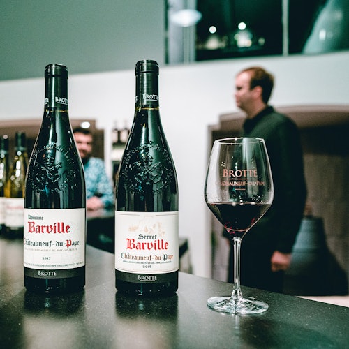 Muzej vina Brotte: Ulaznice za posjet i degustaciju u Châteauneuf-du-Papeu