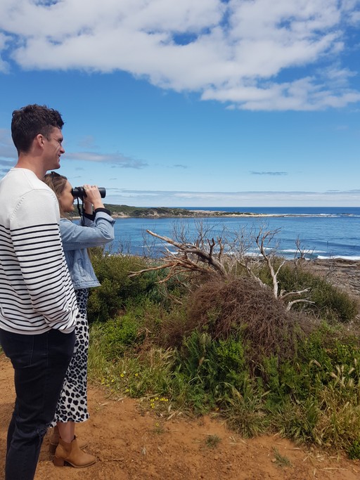 Young couple at a coastal lookout, using professional binoculars to watch whales