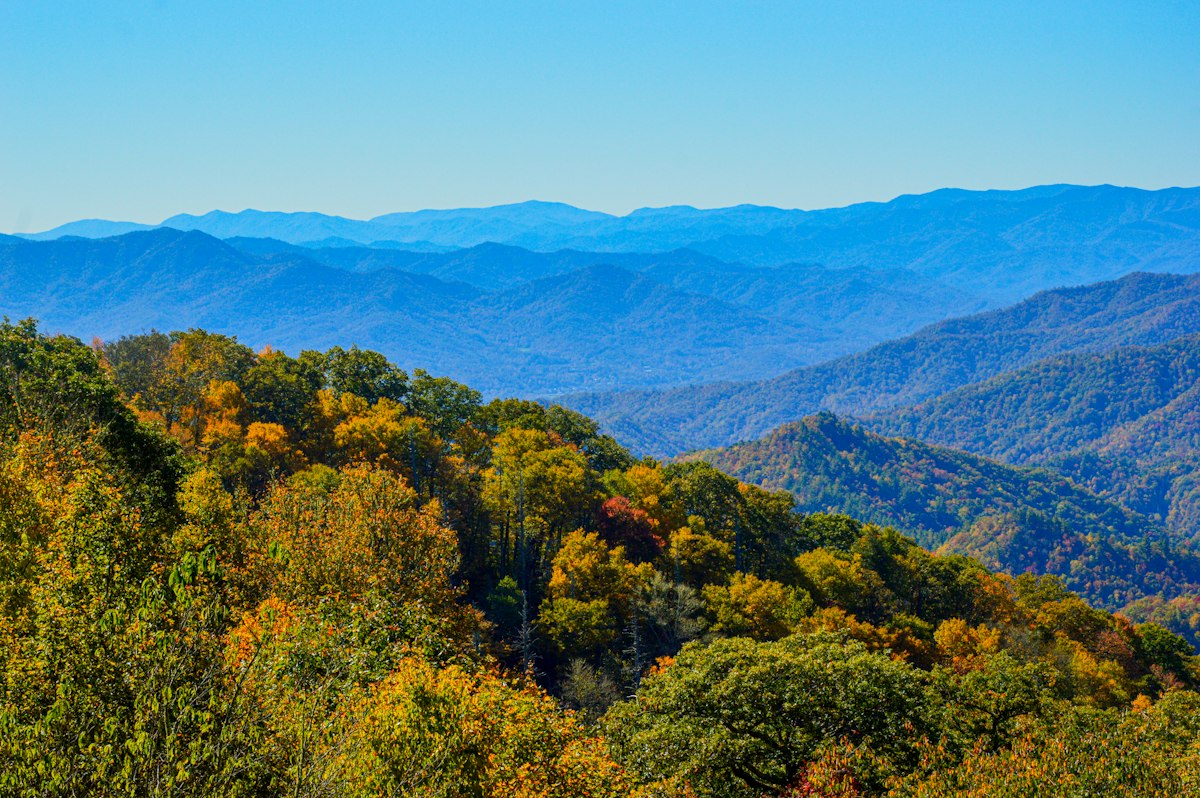 Great Smoky Mountains ridges under a deep blue sky with autumn trees in the foreground