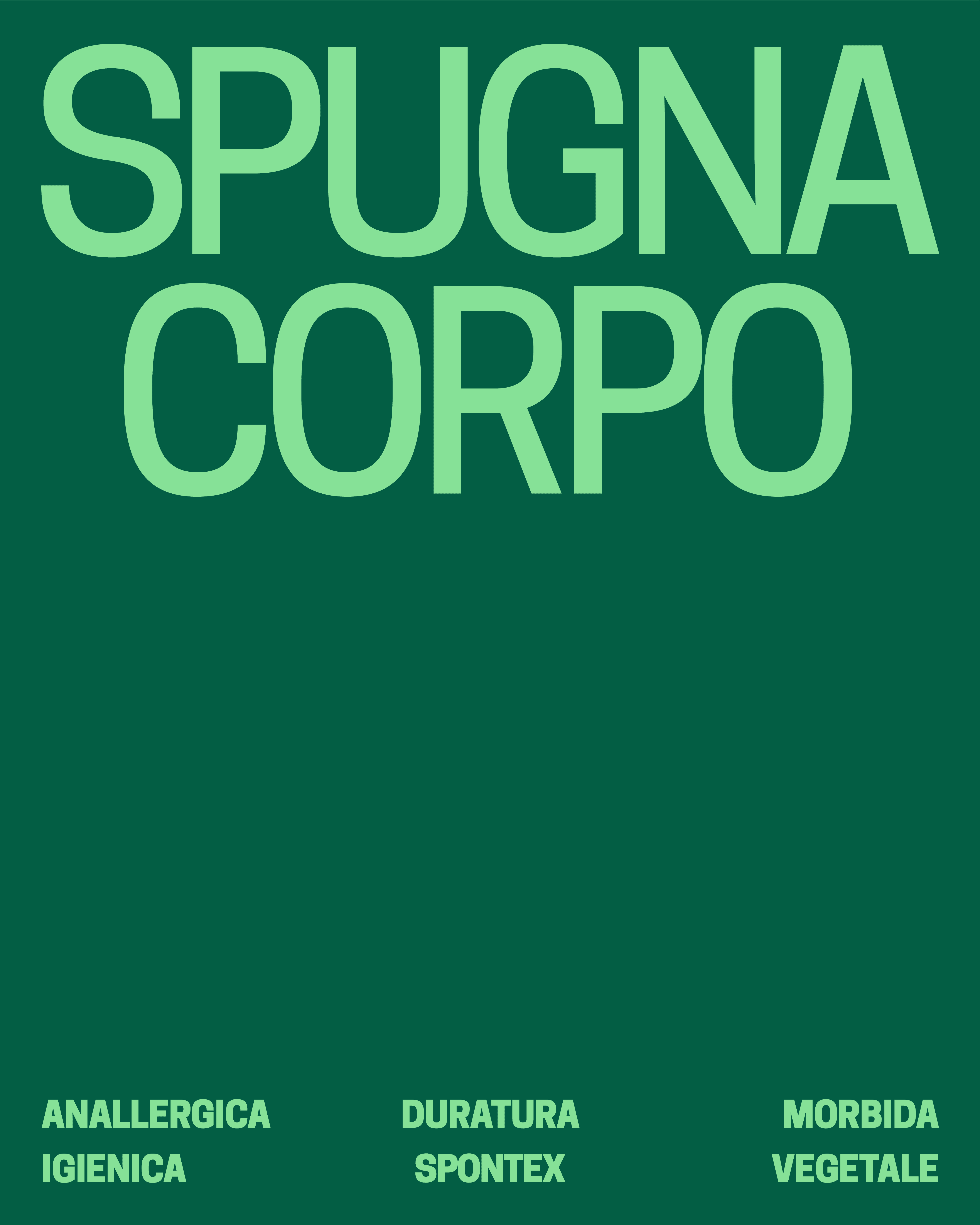 Visul Spontex body sponge