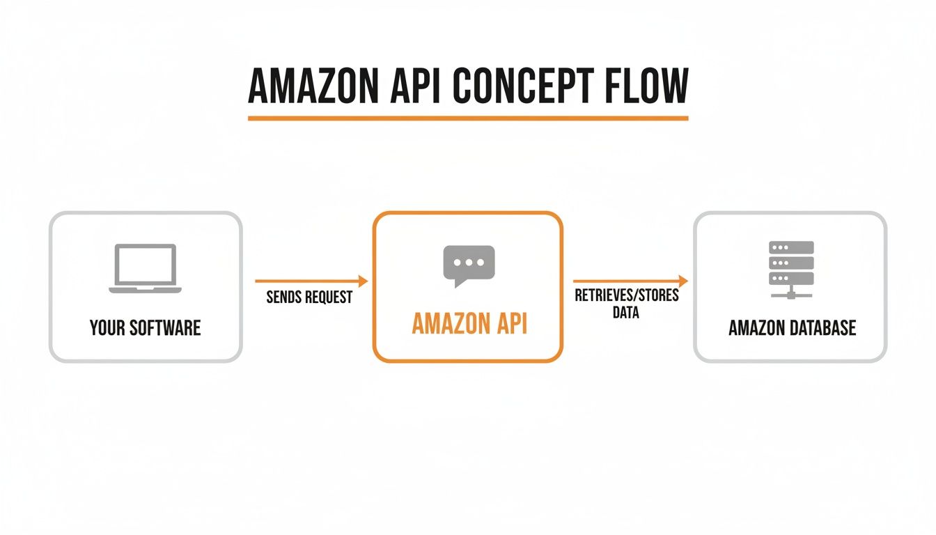 An Amazon API concept flow diagram illustrating software interacting with Amazon API and Amazon Database.