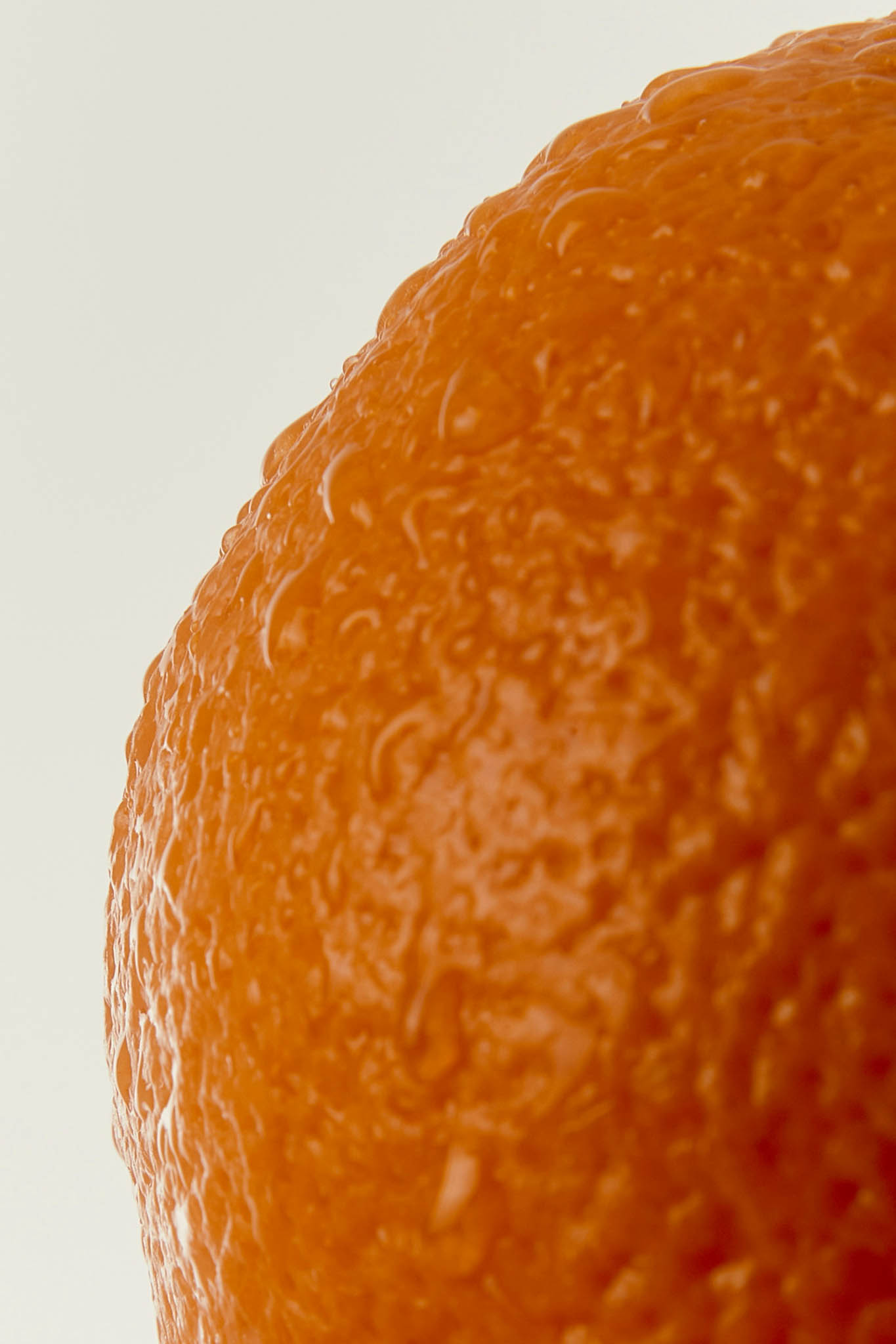 zoom sur ingrédient orange