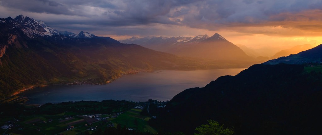 A large christmas tree in front of a tall building