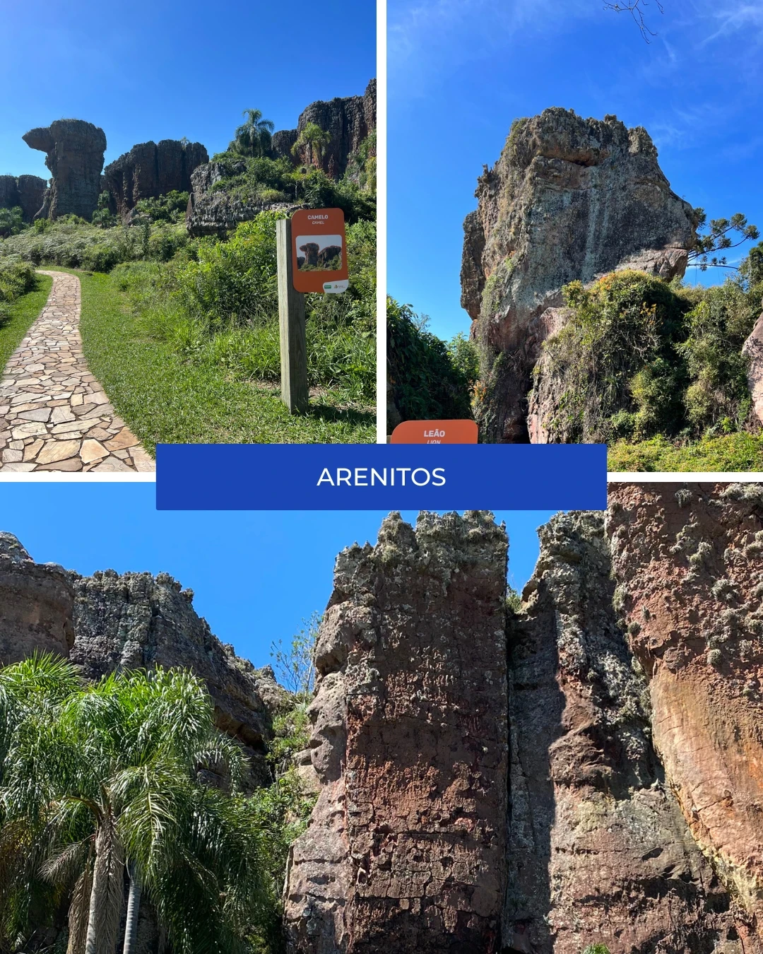 Arenitos  - Motion Turismo