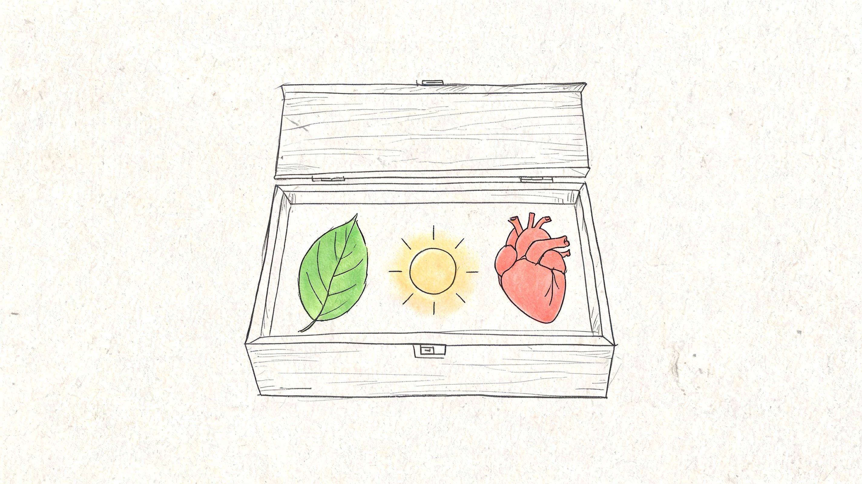 A hand-drawn illustration showing a leaf, sun, and heart inside an open wooden box.