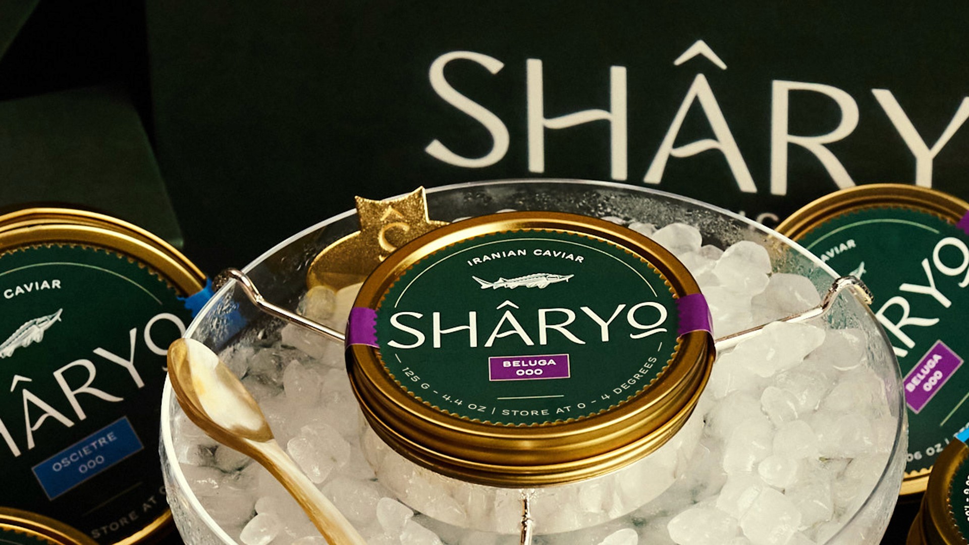 Product Composition 1