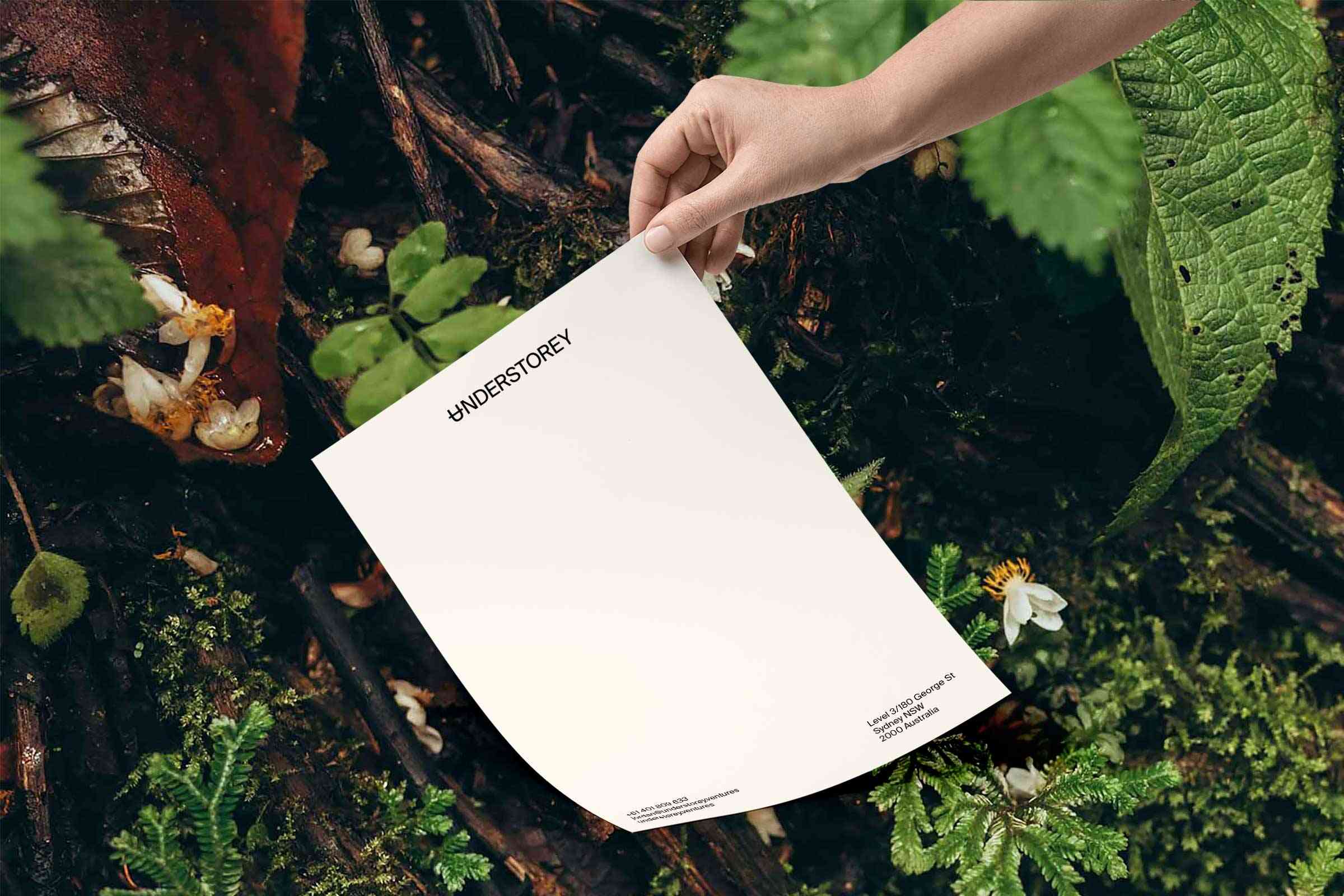 A letterhead held by a woman's hand, on a background of the forest floor.
