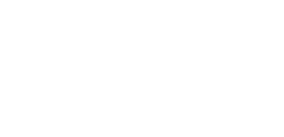 Schweid and Sons logo