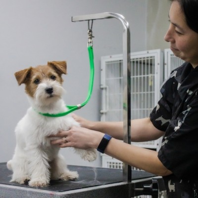 beauty products on a green background