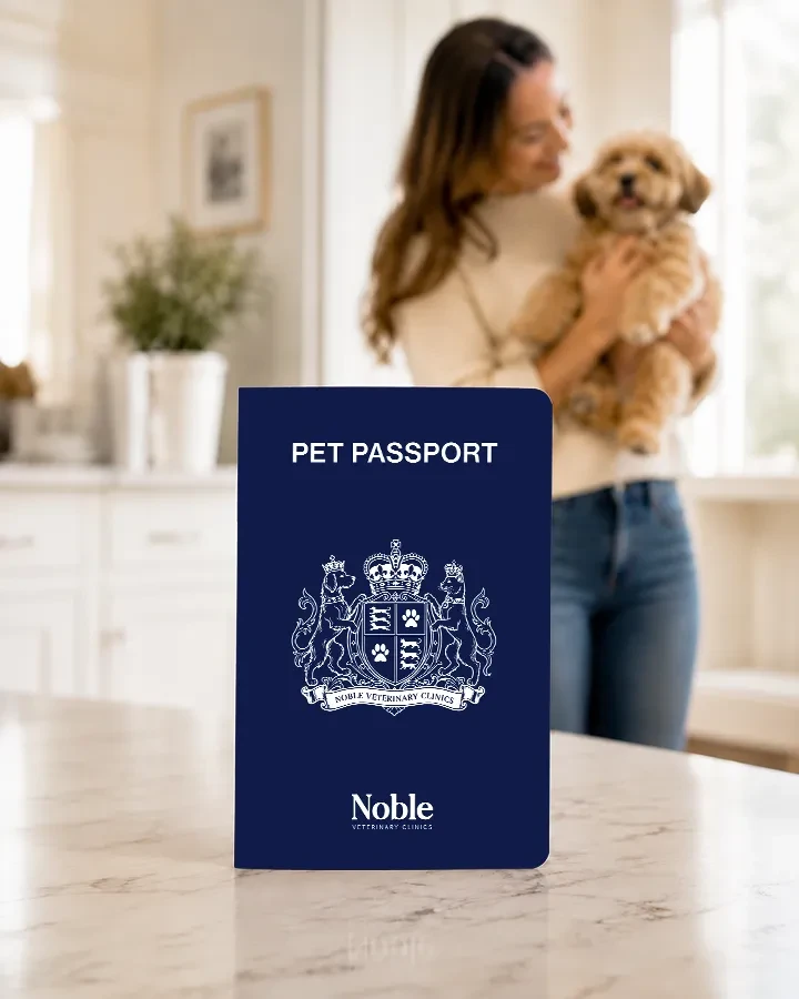 Our veterinary team performs a complete health check-up on a dog to issue a health certificate for a pet passport