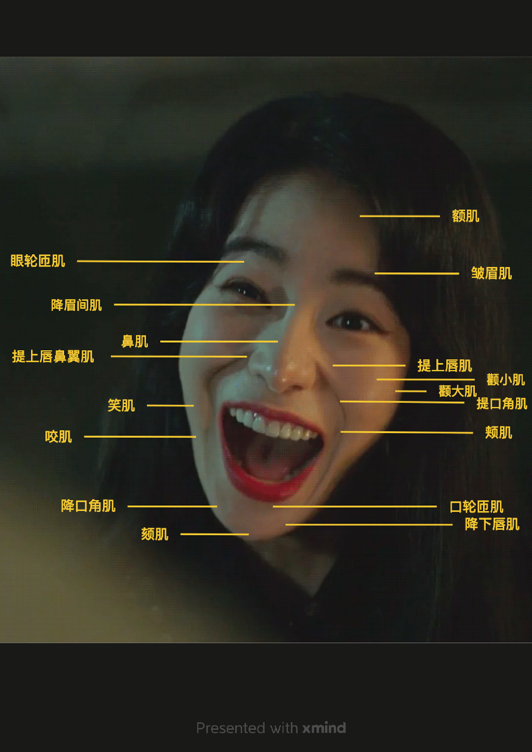 女性面部特征标注图