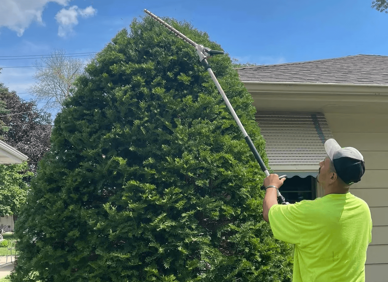 Bush Trimming