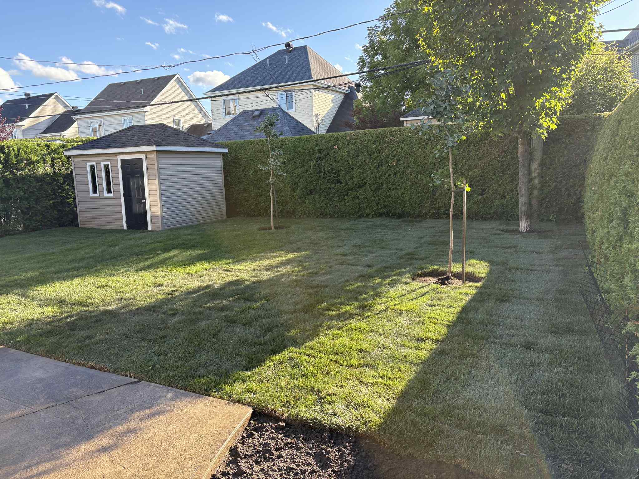 Installation d’une bordure et plantation de vivaces réalisée par Pelouse Men Paysagement dans une cour résidentielle.