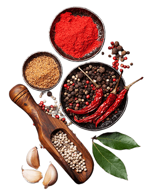 An array of beautiful spices used by Porcellino Artisanal Meats.