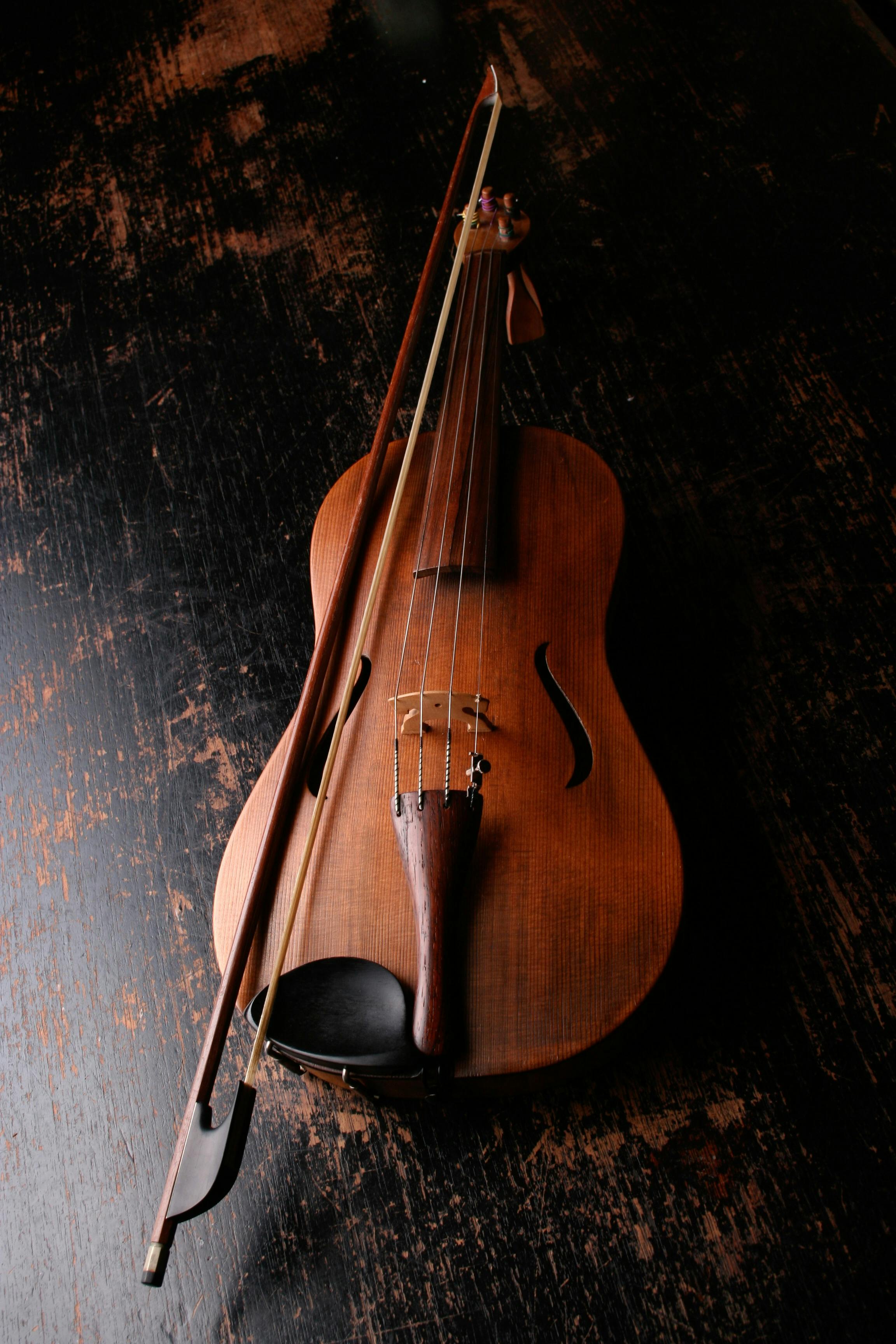 violin