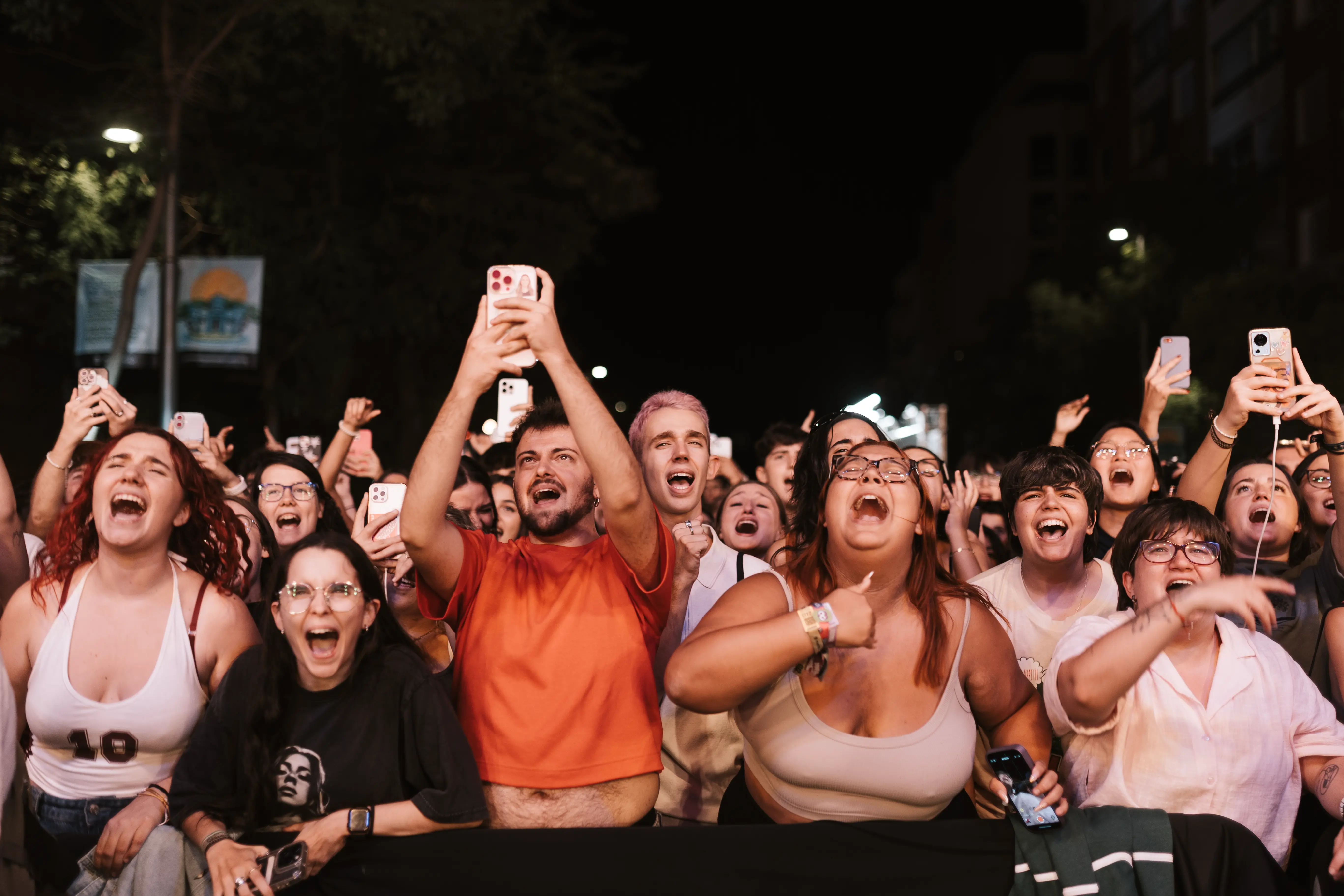 publico primera fila cantando en concierto vfno