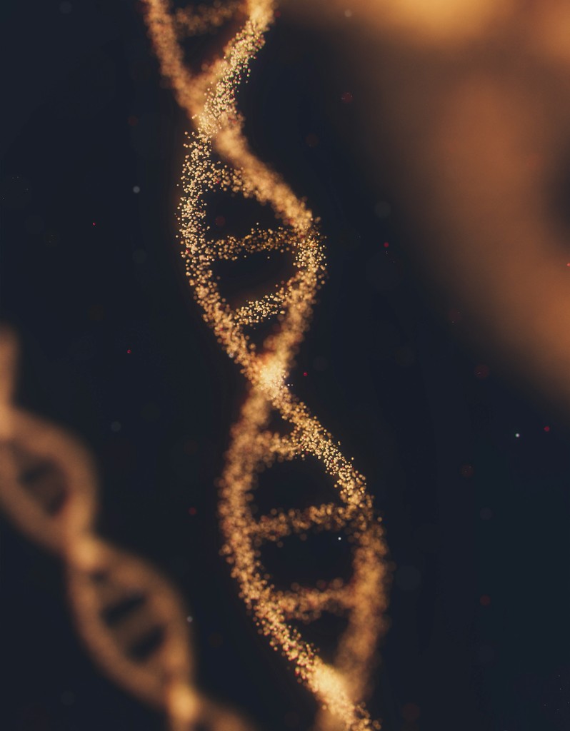 Longevity clinic genome epigenetics