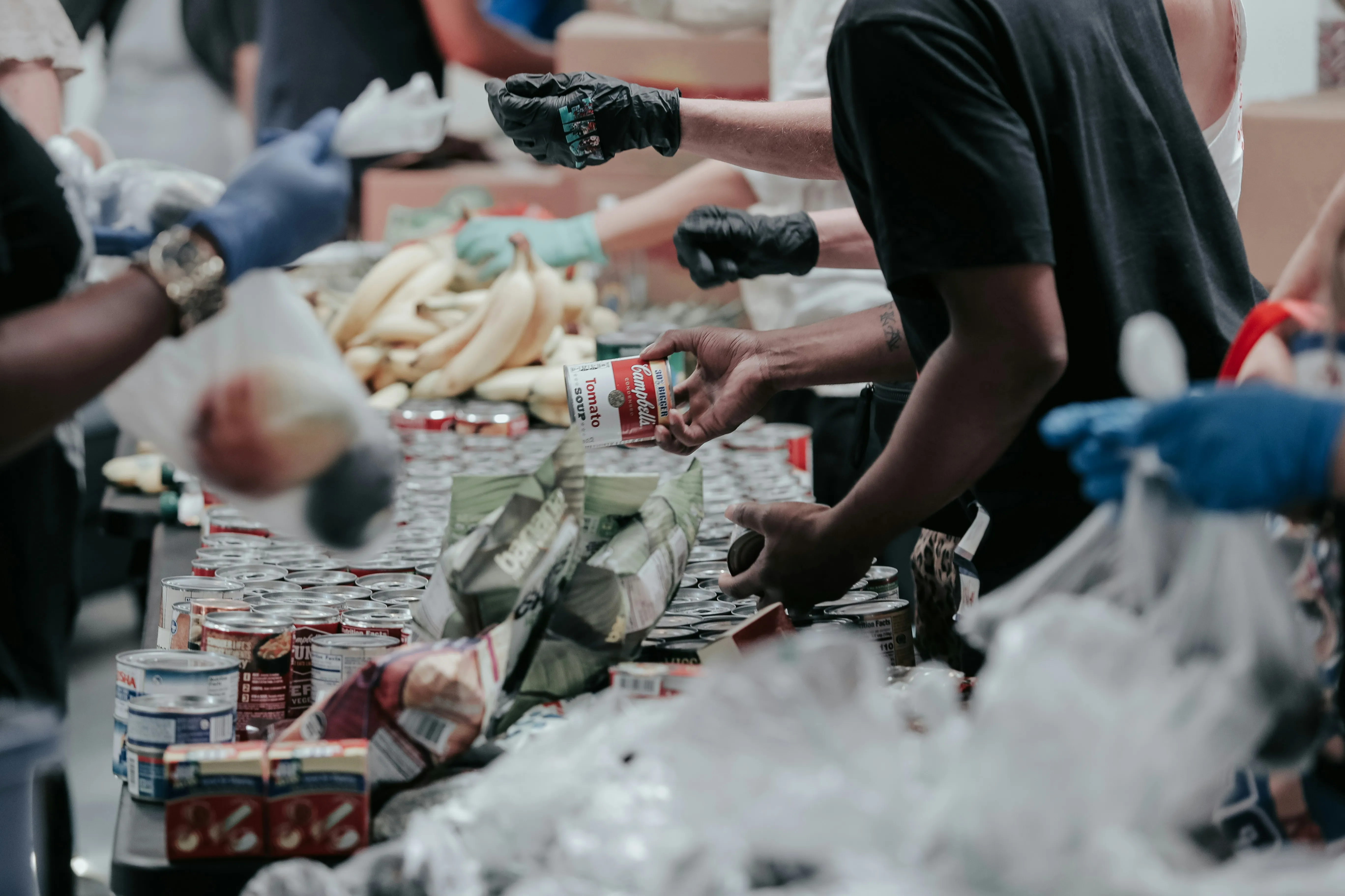 Volunteer Projects