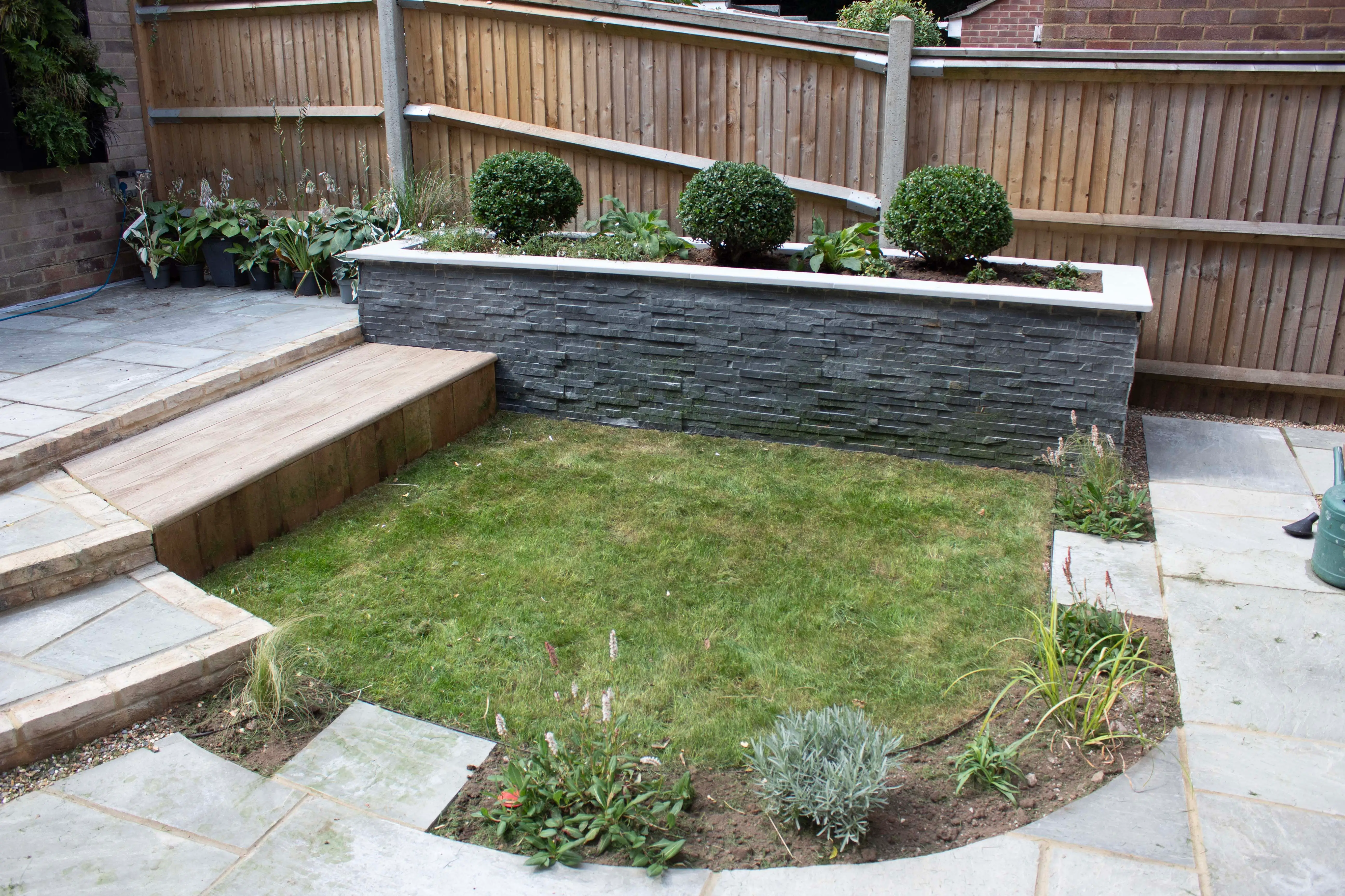 A landscaped garden featuring stone steps, green grass, and neatly trimmed round shrubs against a wooden fence.