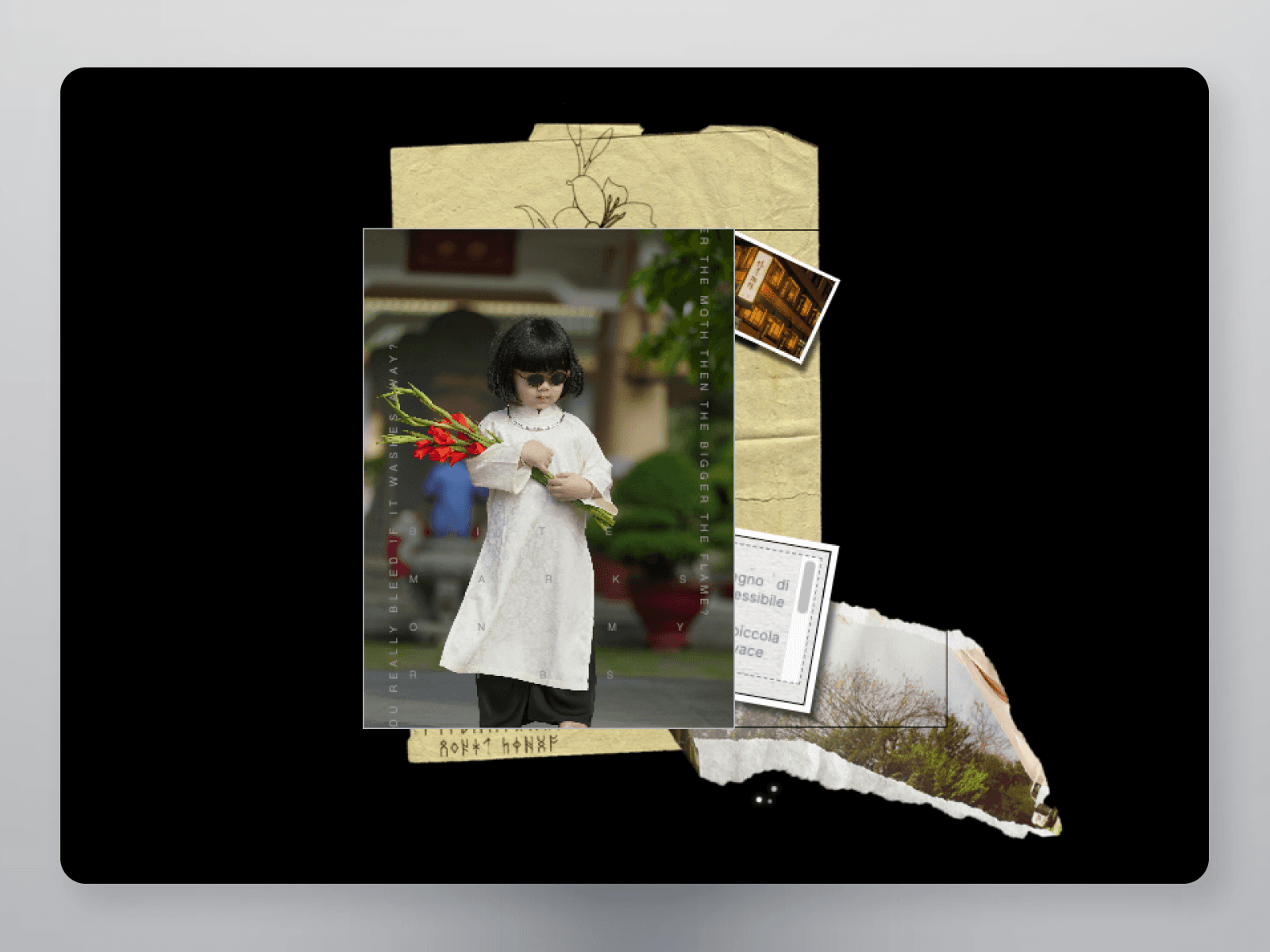 带有悬停动画、主题切换和书籍详情的3D启发书架