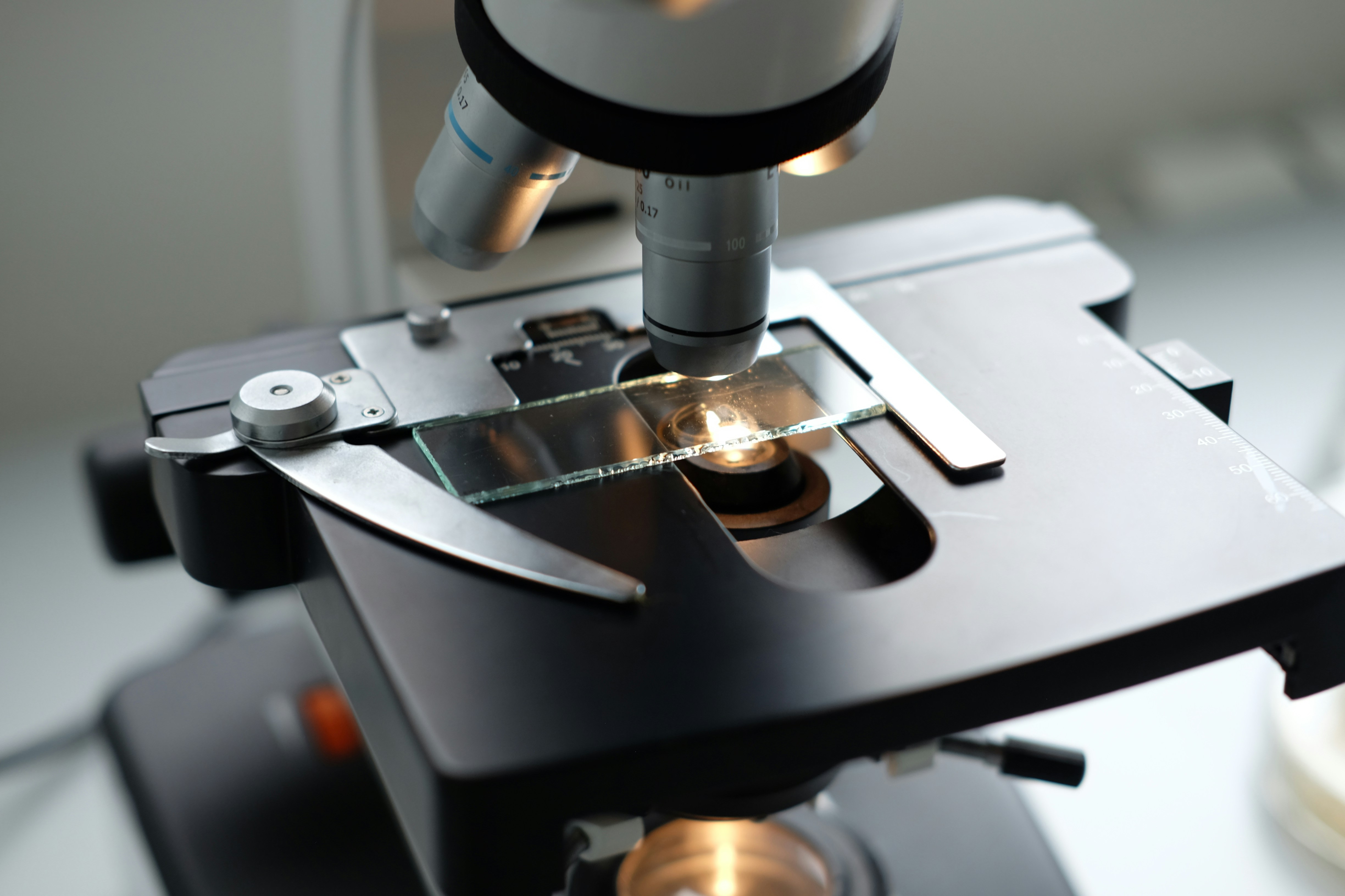 The Most Important Scientific Advancements to Watch This Year