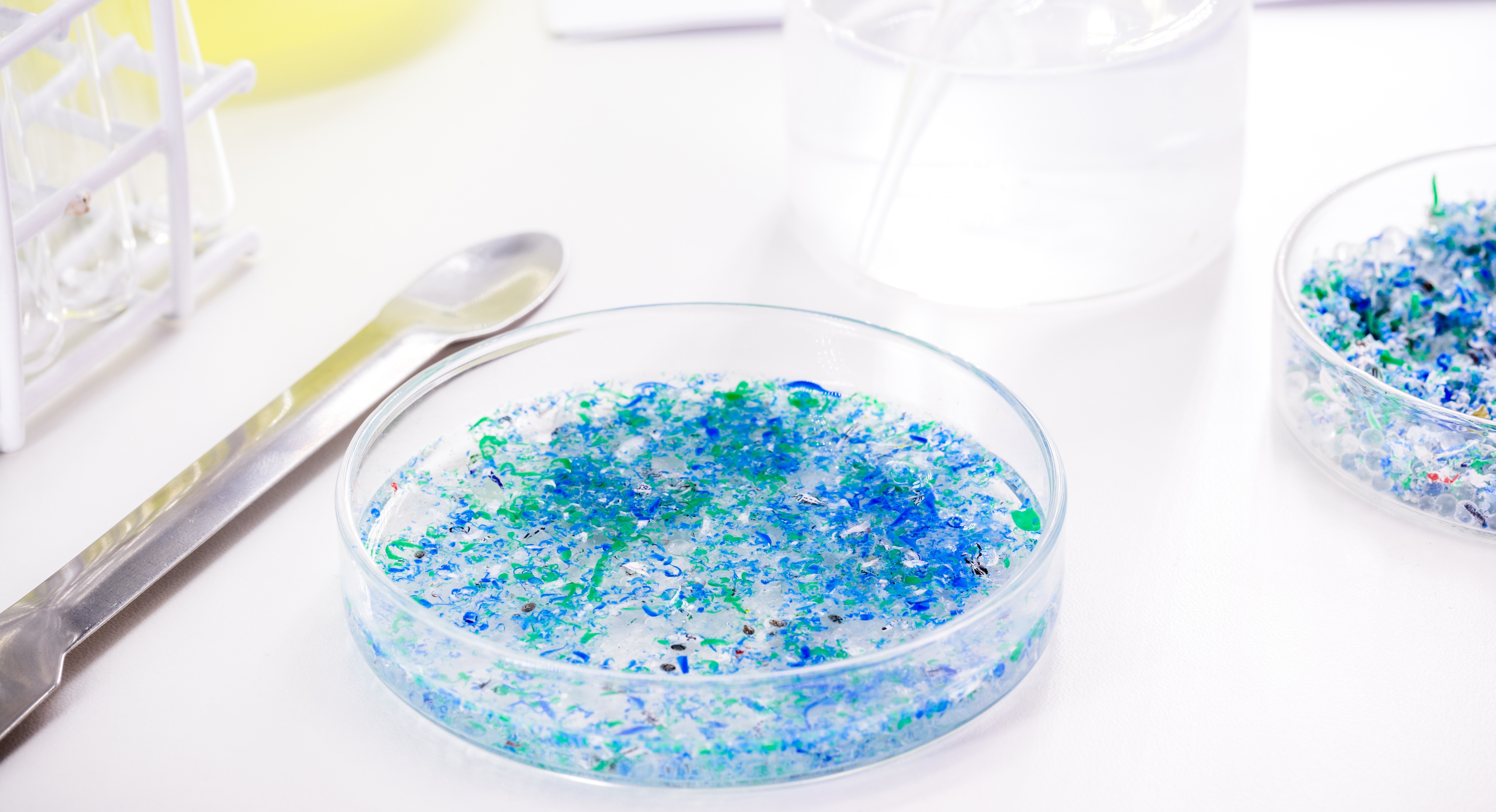 Traces of plastic and microplastic in petri dish in a lab setting.