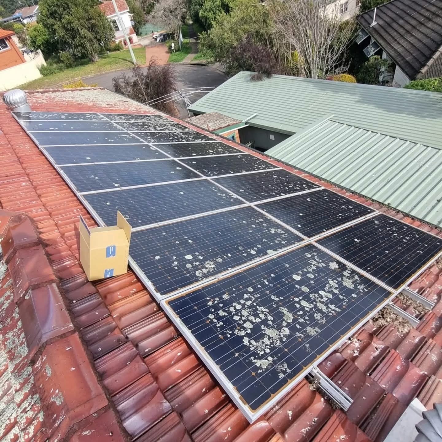 Termite and pest infestation at a church with floors pulled up