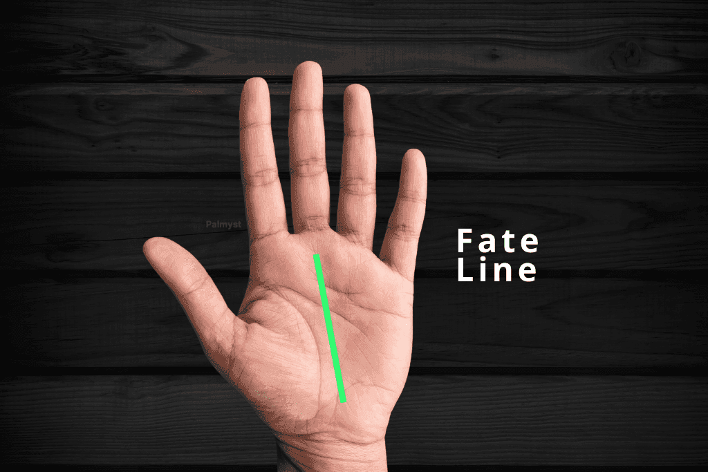 Fate Line in Palm Reading - Palmyst