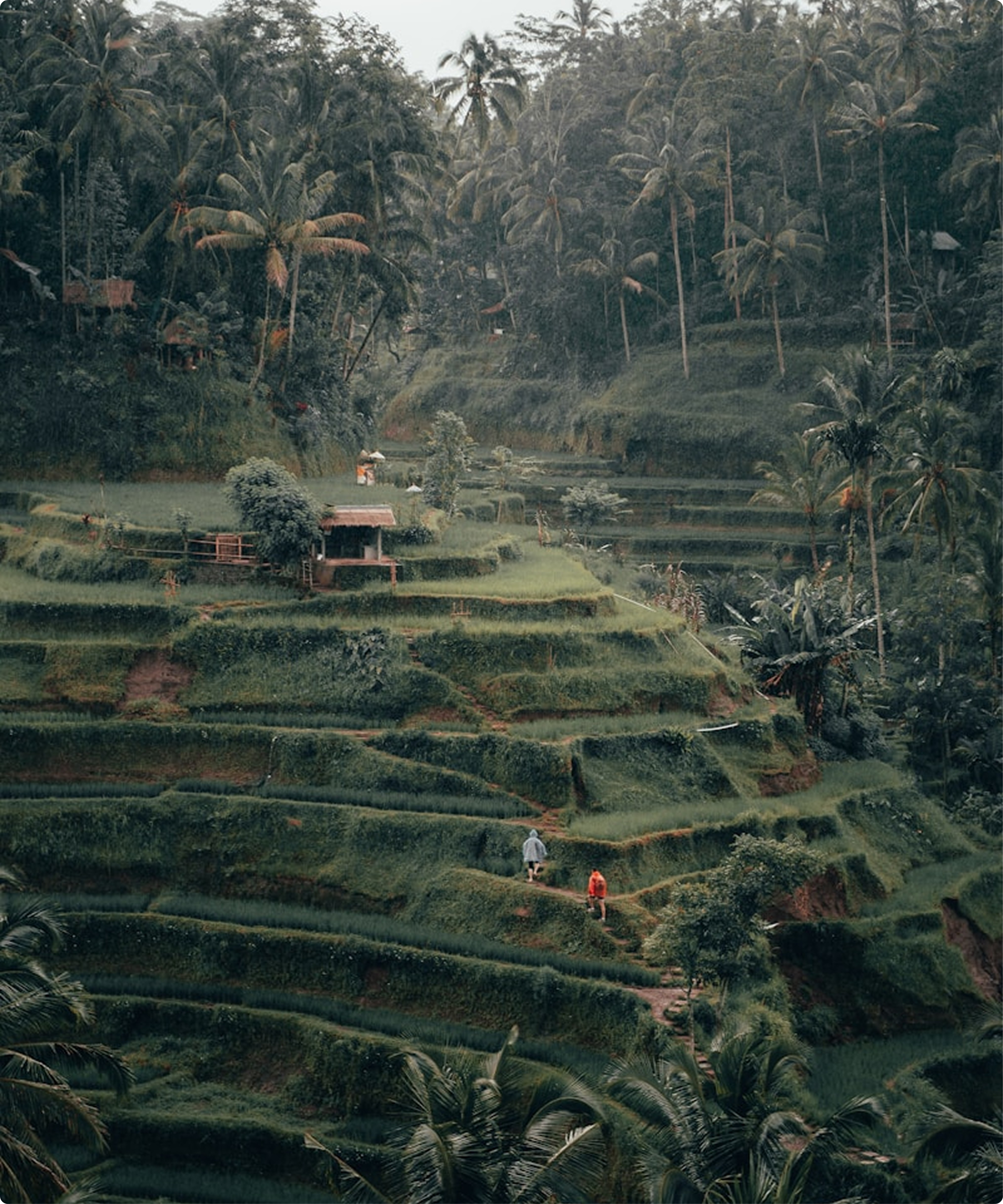Healing Bali Style