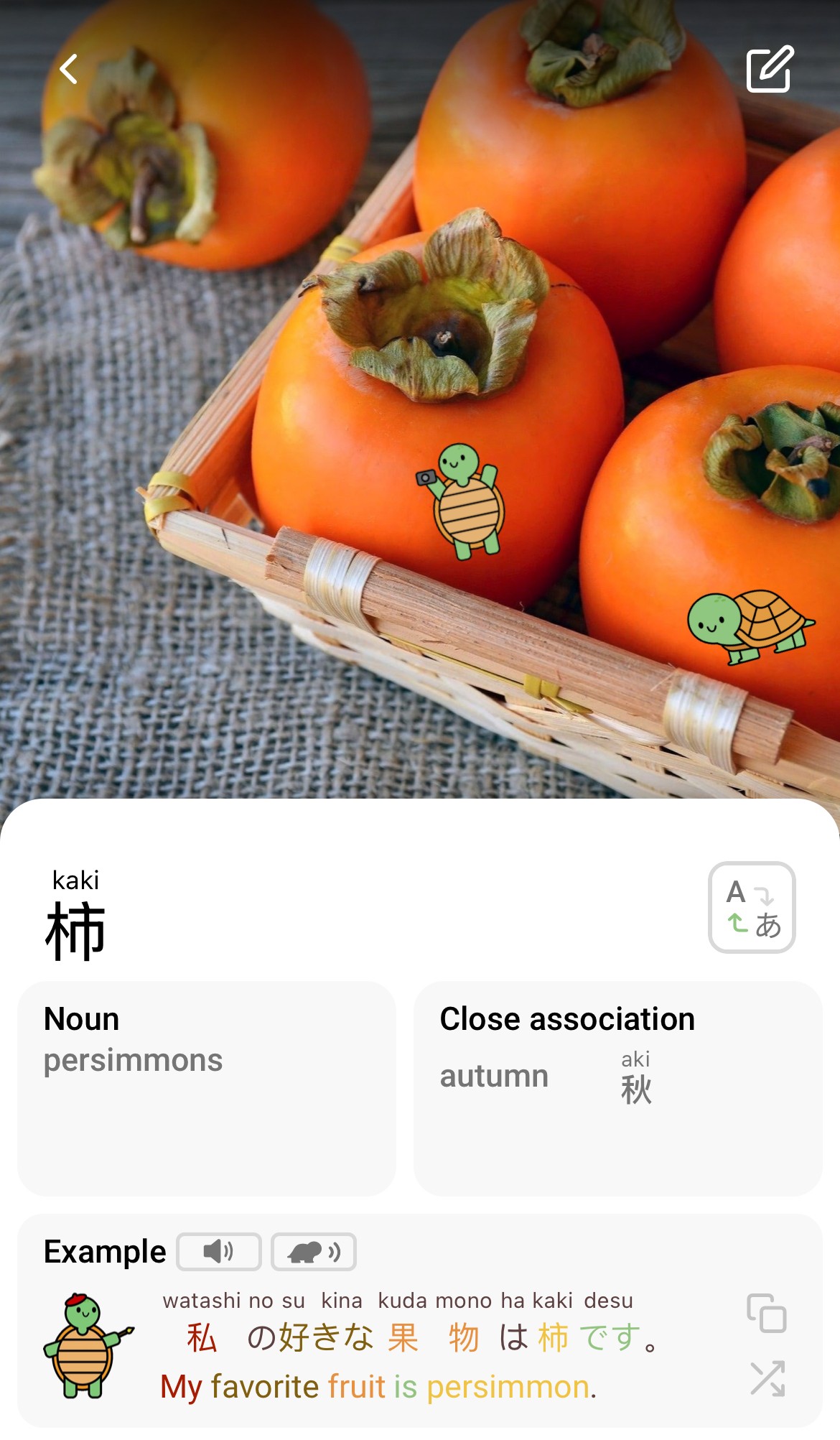 kaki-persimmon