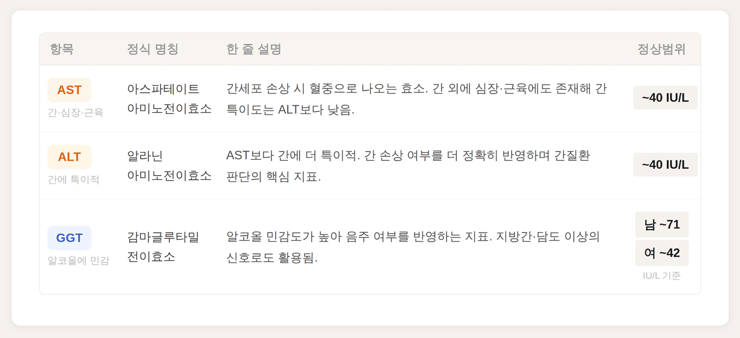 AST·ALT·GGT 간수치 항목별 정식 명칭, 설명, 정상범위를 정리한 표