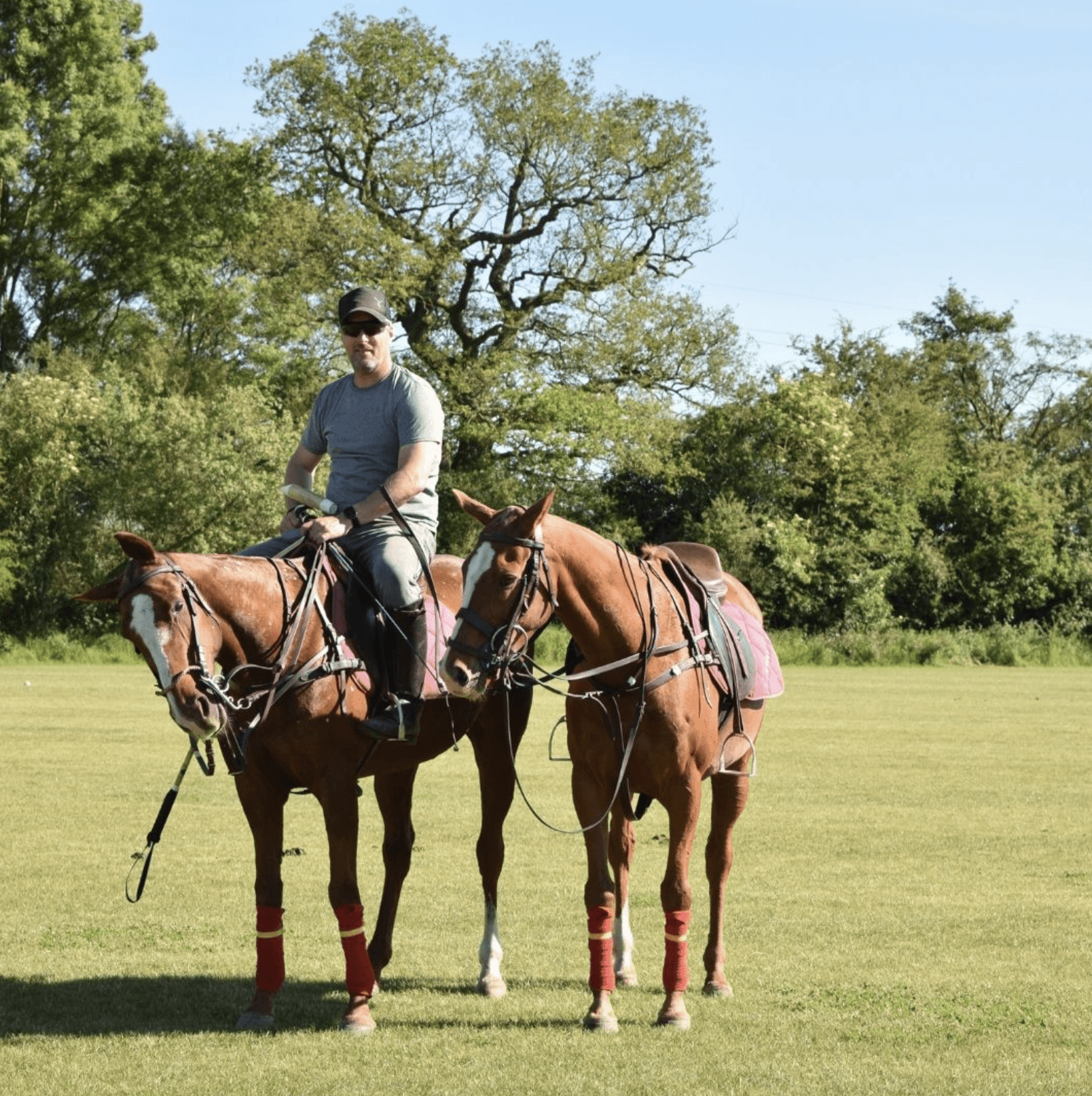 Beautiful landscaped garden with greenery and outdoor design elements.