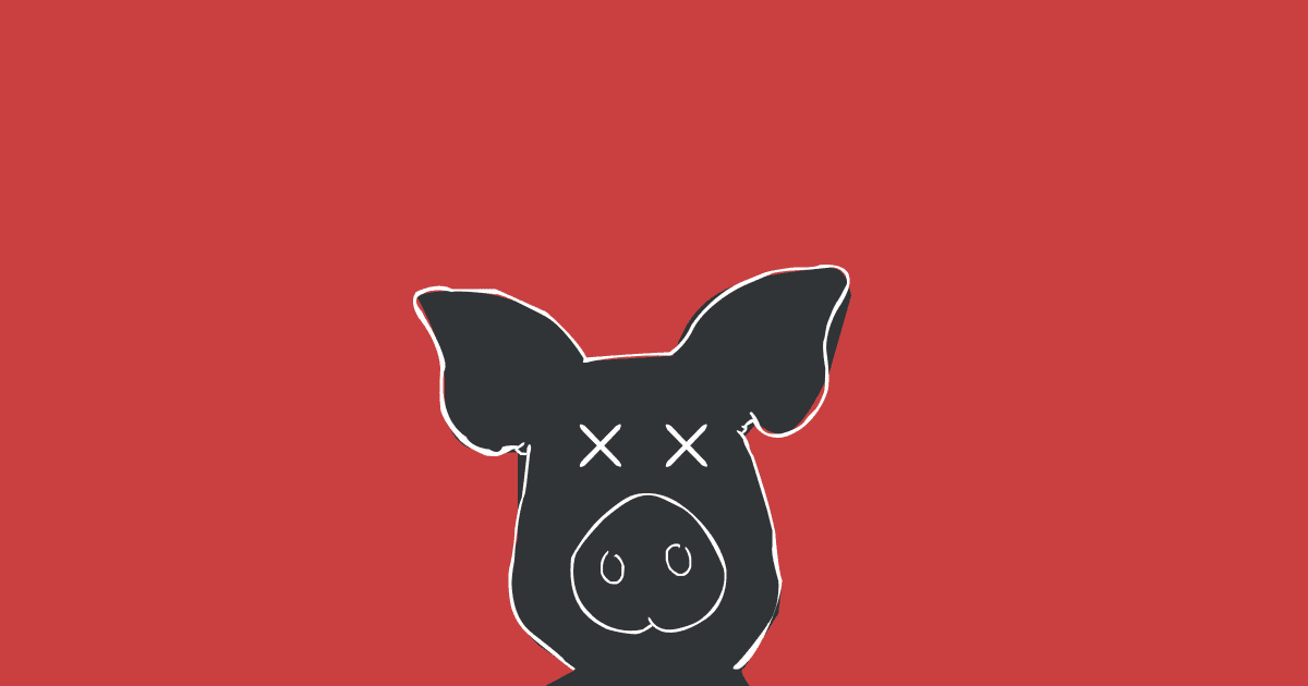 Pig Head Sketch