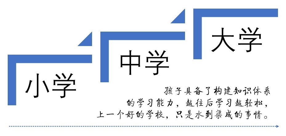 教育阶段的知识结构