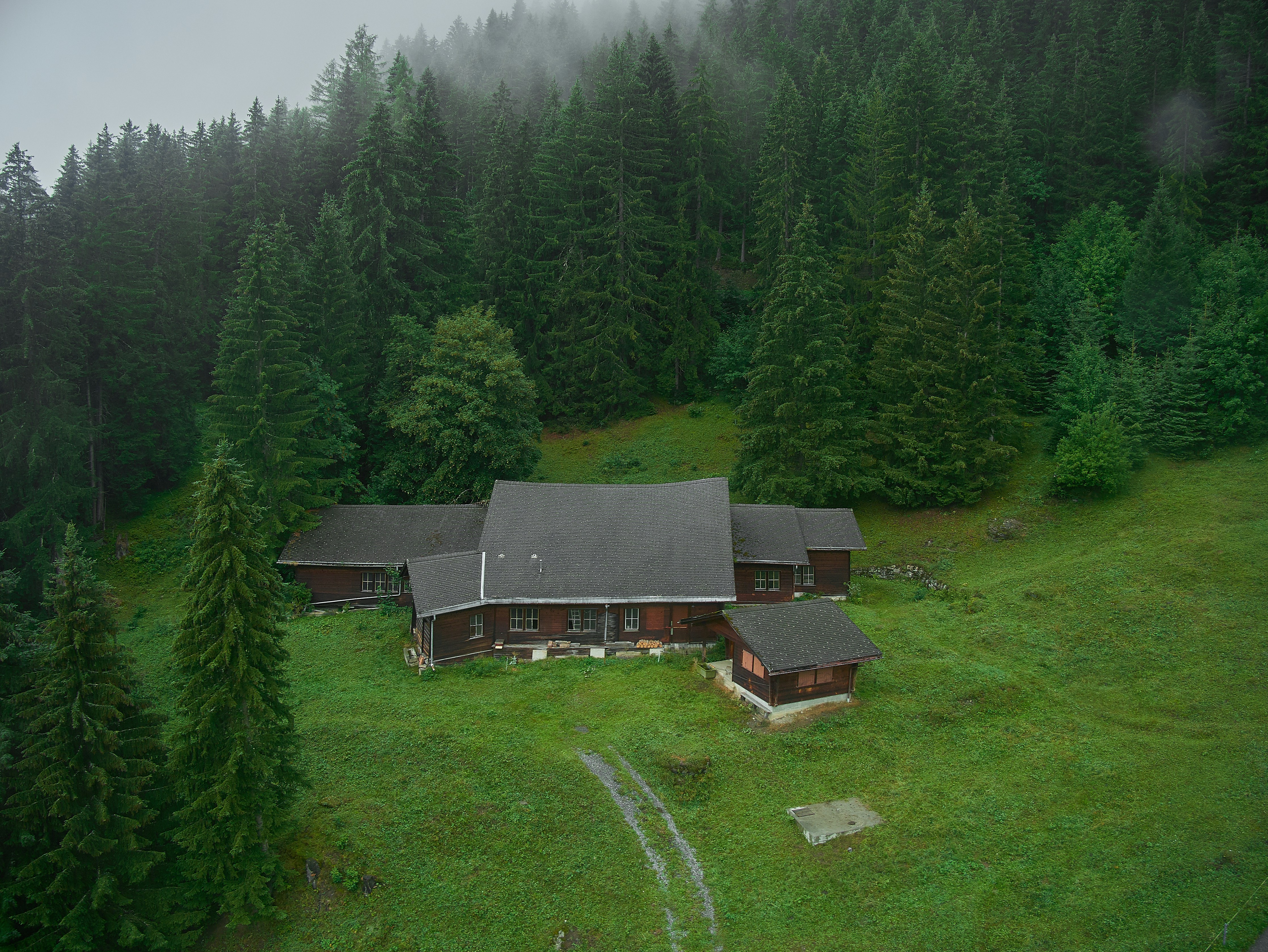an aerial view of a house in the middle of a forest