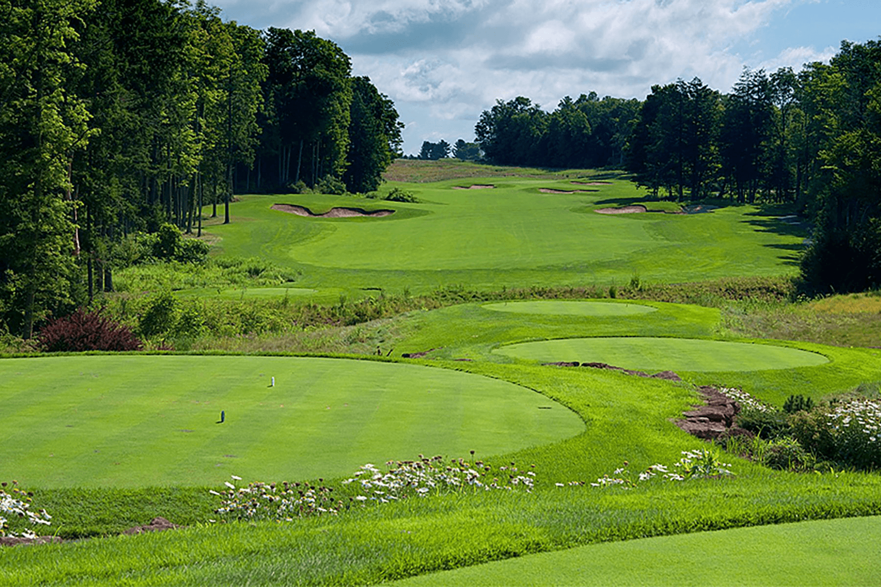 best golf courses in new york, top golf courses new york, new york golf courses guide, best public golf courses in new york, best private golf clubs new york, new york golf resorts, bethpage black golf course, shinnecock hills golf club, national golf links of america, oak hill country club, friars head golf course, fishers island golf club, turning stone golf courses, sagamore golf club lake george, golf near new york city, long island golf courses, upstate new york golf courses, new york golf destinations, where to play golf in new york, best places to golf in new york state