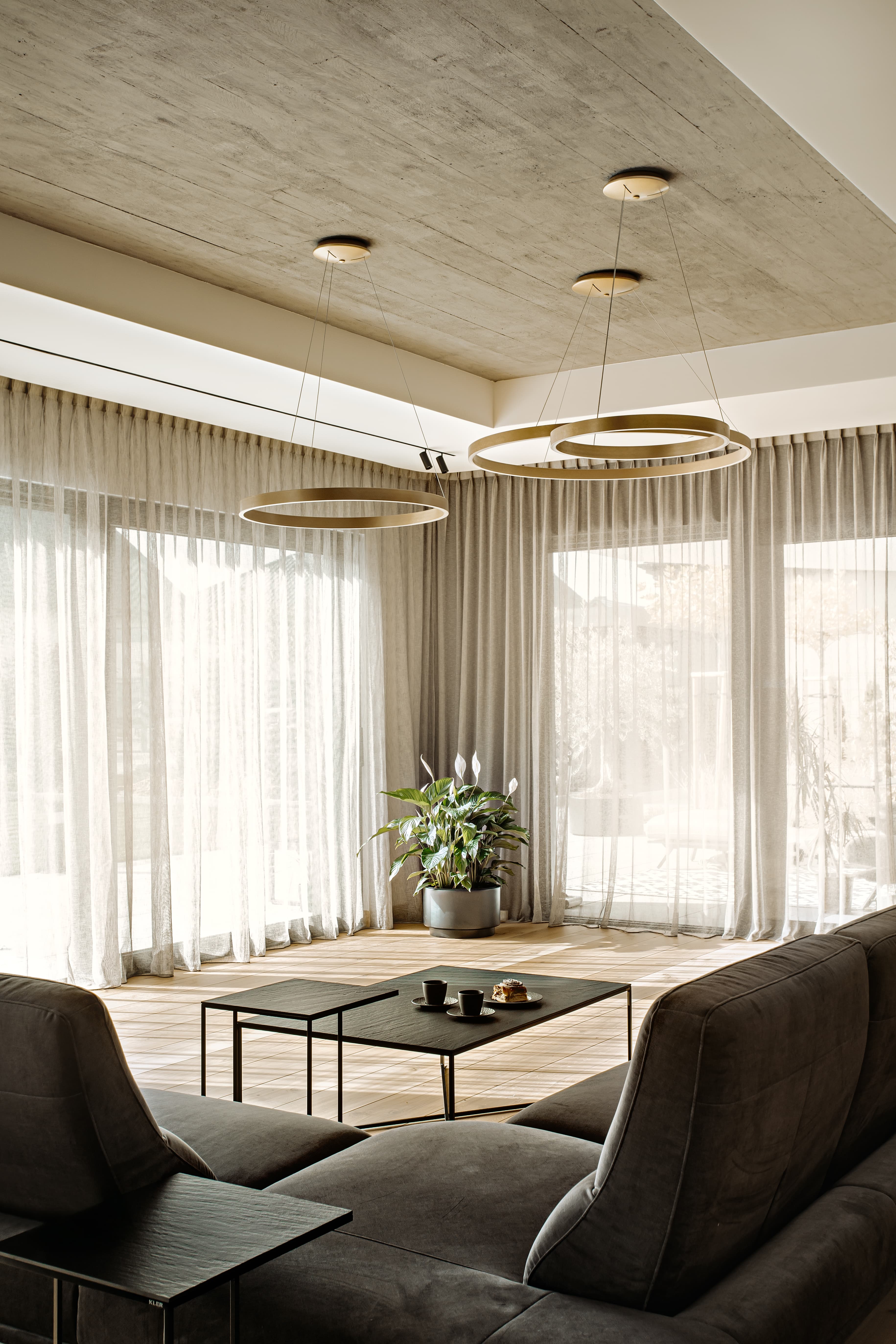 suspended ring lamps