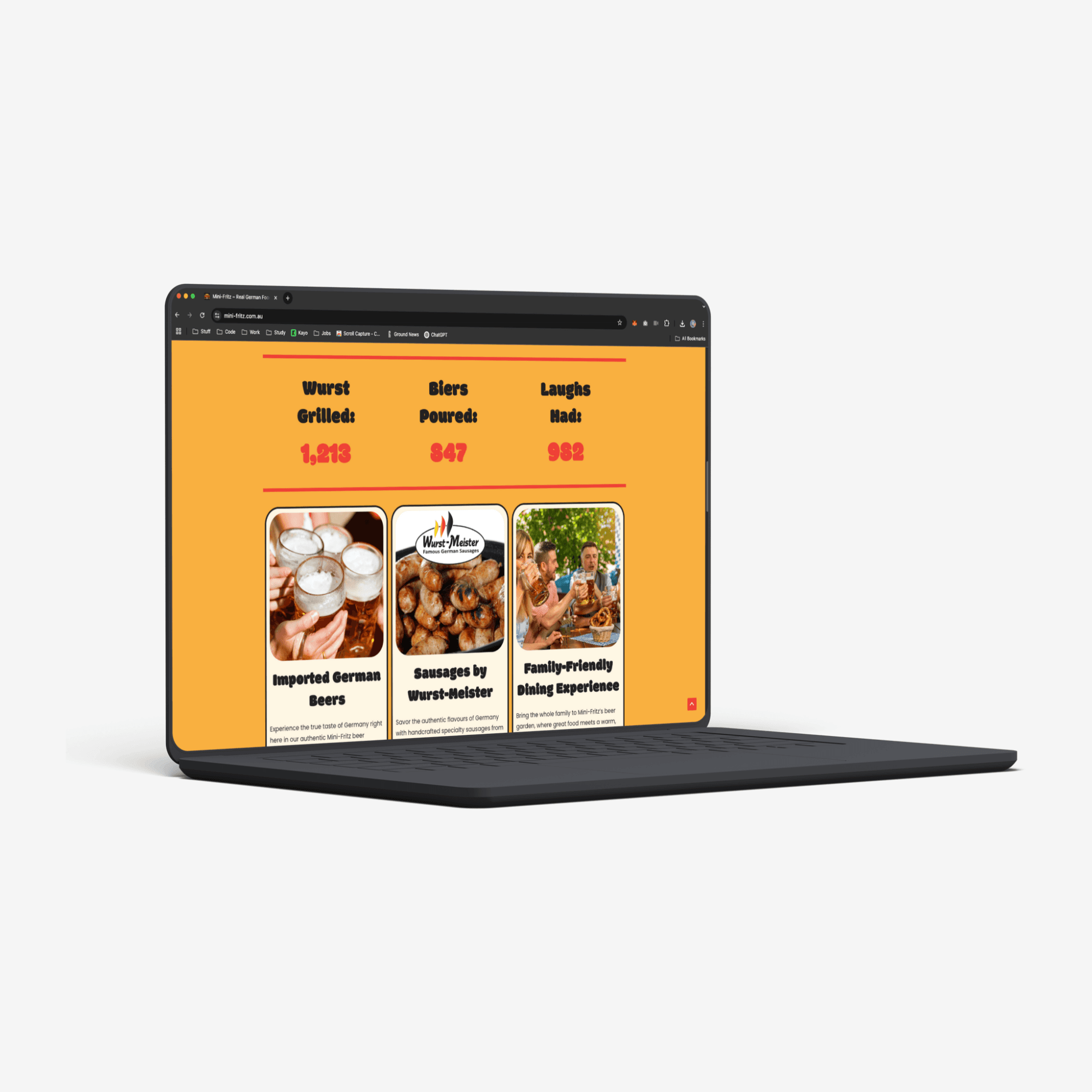 mock up of minifritz on laptop