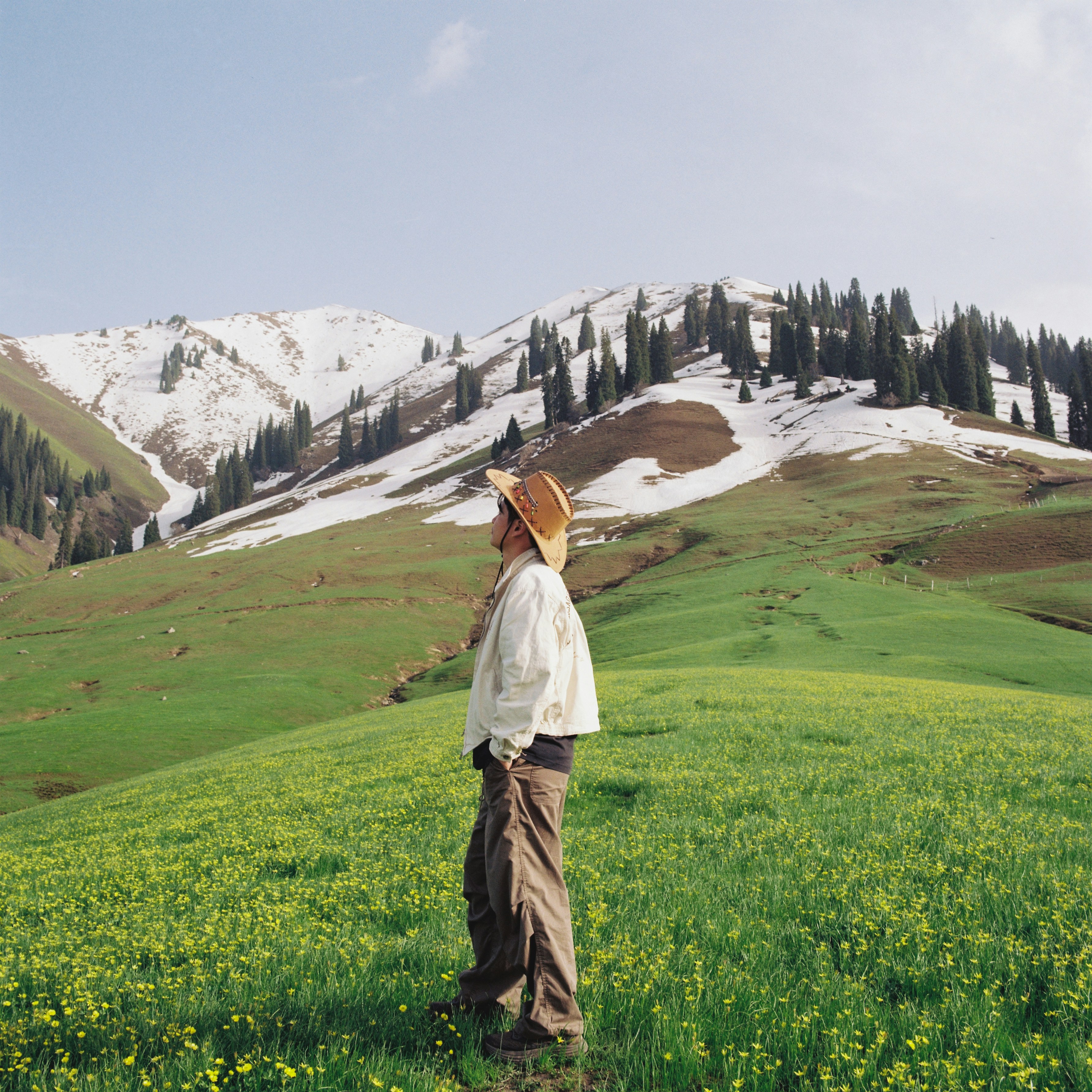 Person in a straw hat standing in a green alpine meadow below snowy mountains
