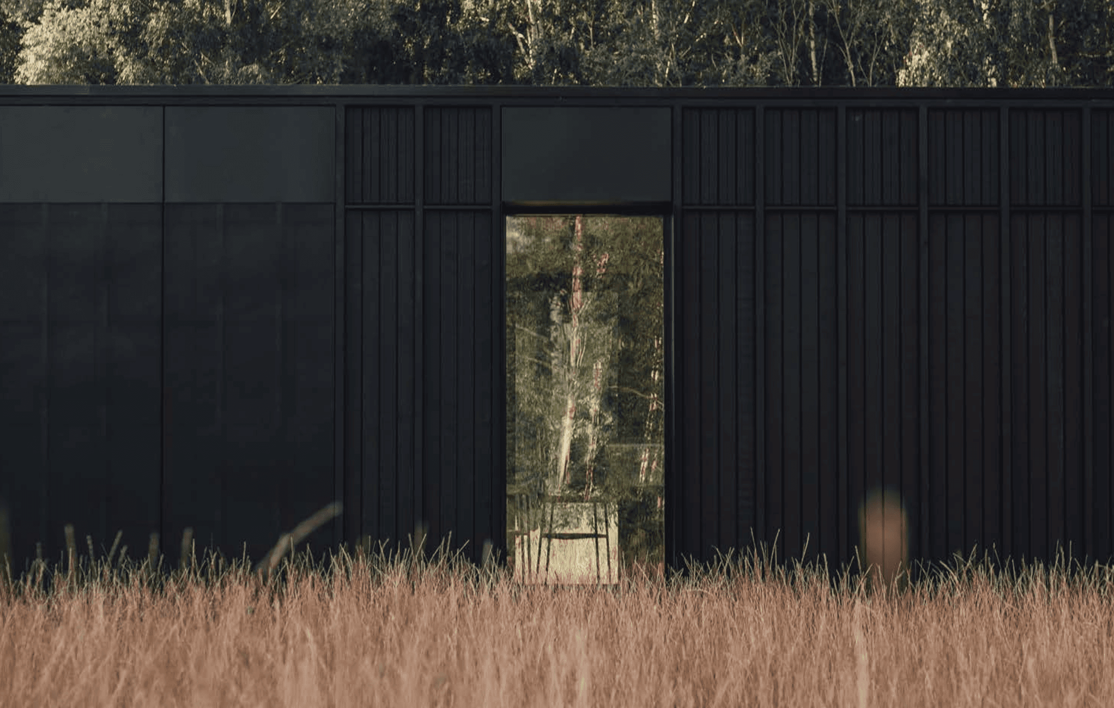 Black cabin in the forest