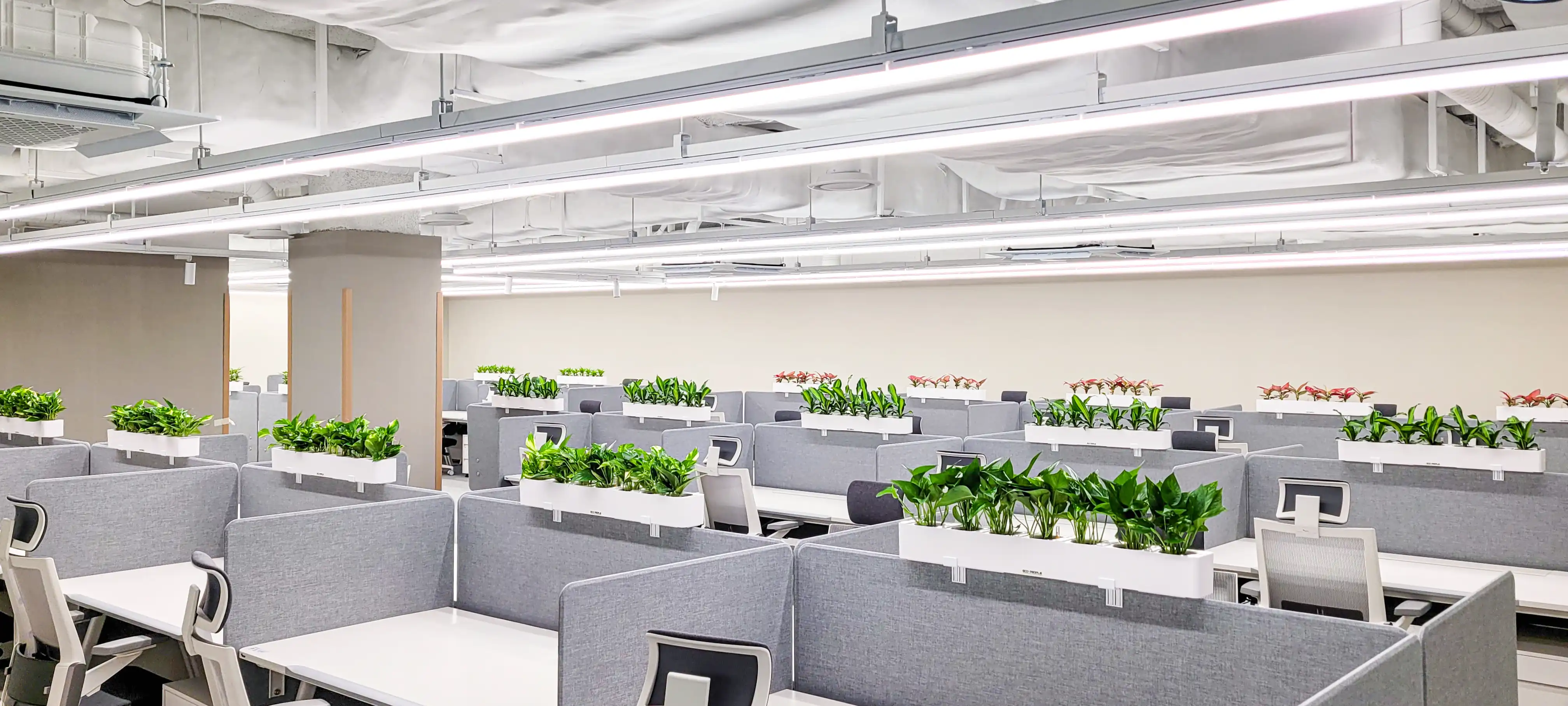 파티션화분을 활용한 실내조경 디자인이 조성되었다