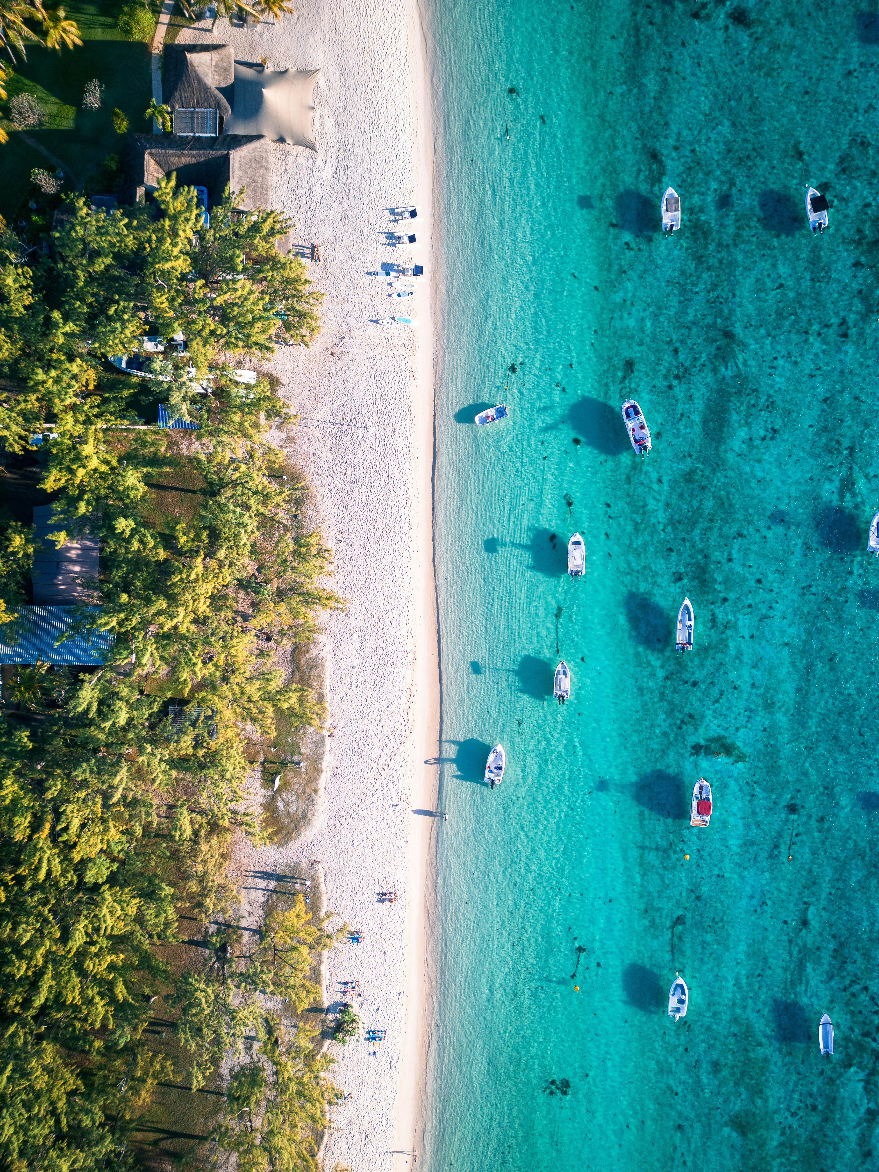 Remote work Mauritius