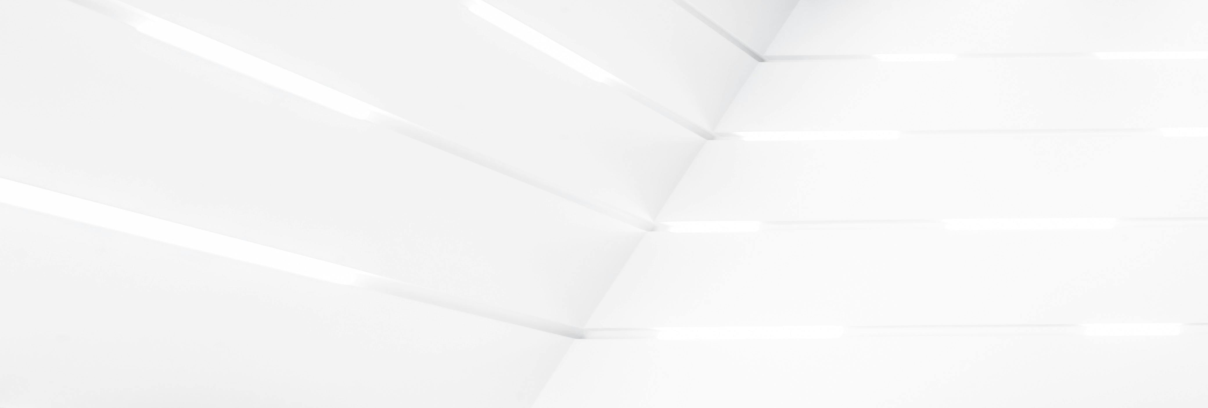 Snowy landscape with trees and a distant misty horizon.