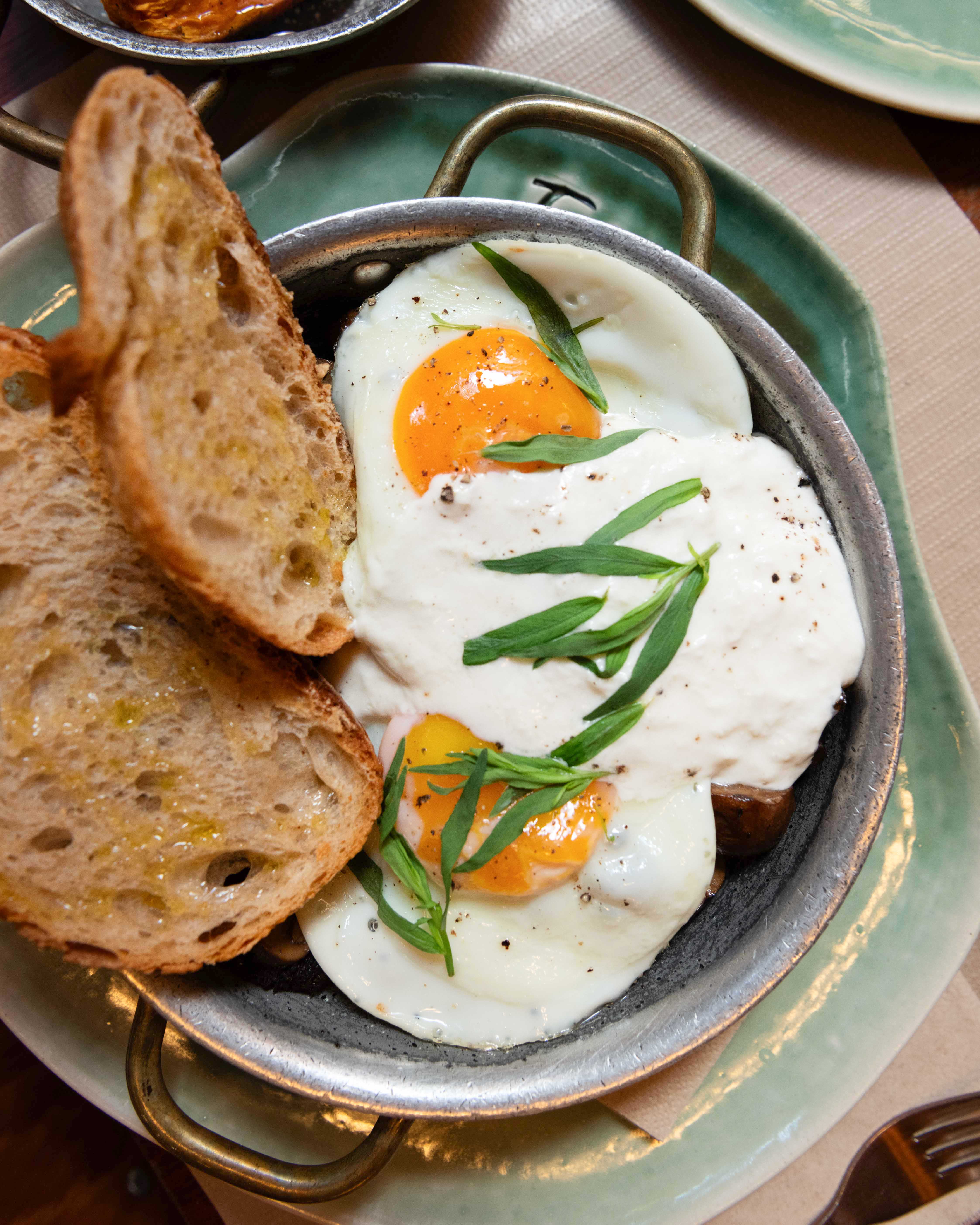 Organic free-range eggs with sourdough bread — vegetarian brunch at Faire. Brunch & Drinks