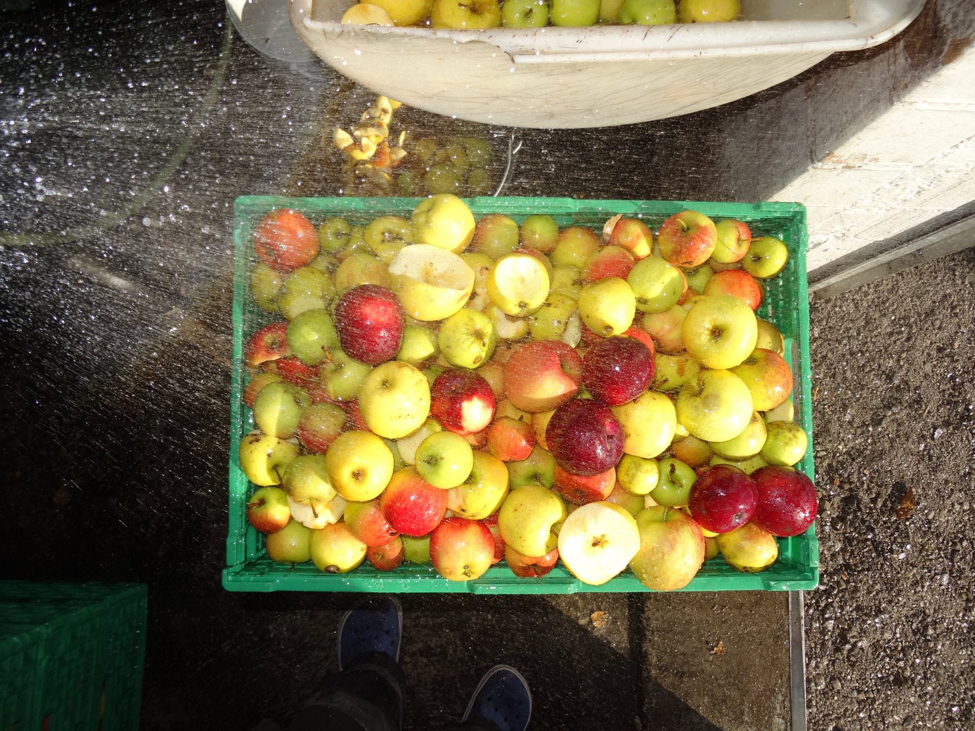 Unsere saftigen Äpfel