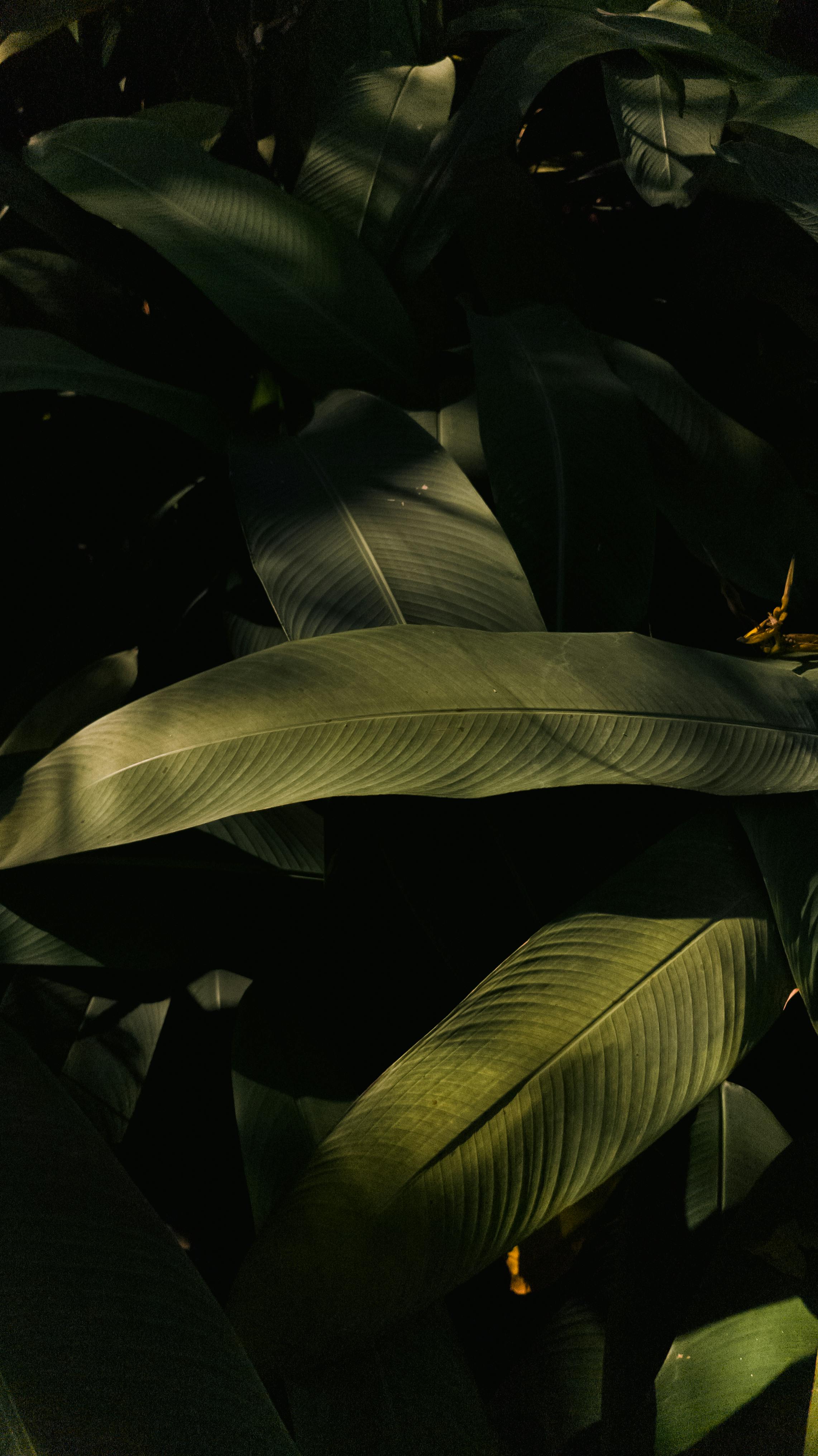 Brand Design Inquiry Form Photo