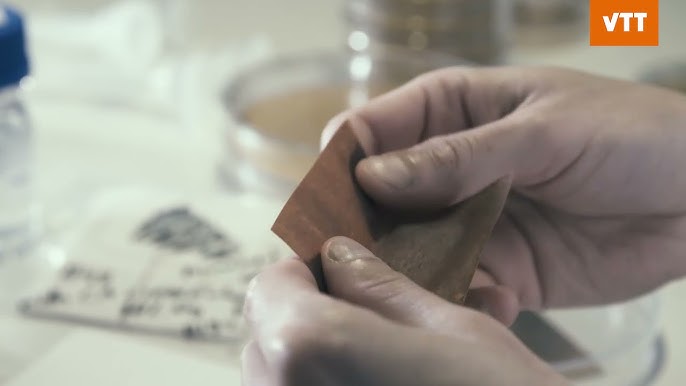 From VTT website demonstrate mycelium