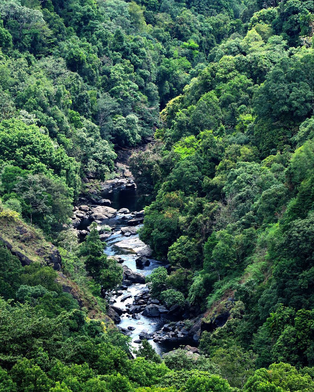 Breathtaking aerial view of Nelliyampathy, the 'Queen of Palakkad Hills,' featuring dense green forests, a rocky river stream, and untouched natural beauty in Kerala, India